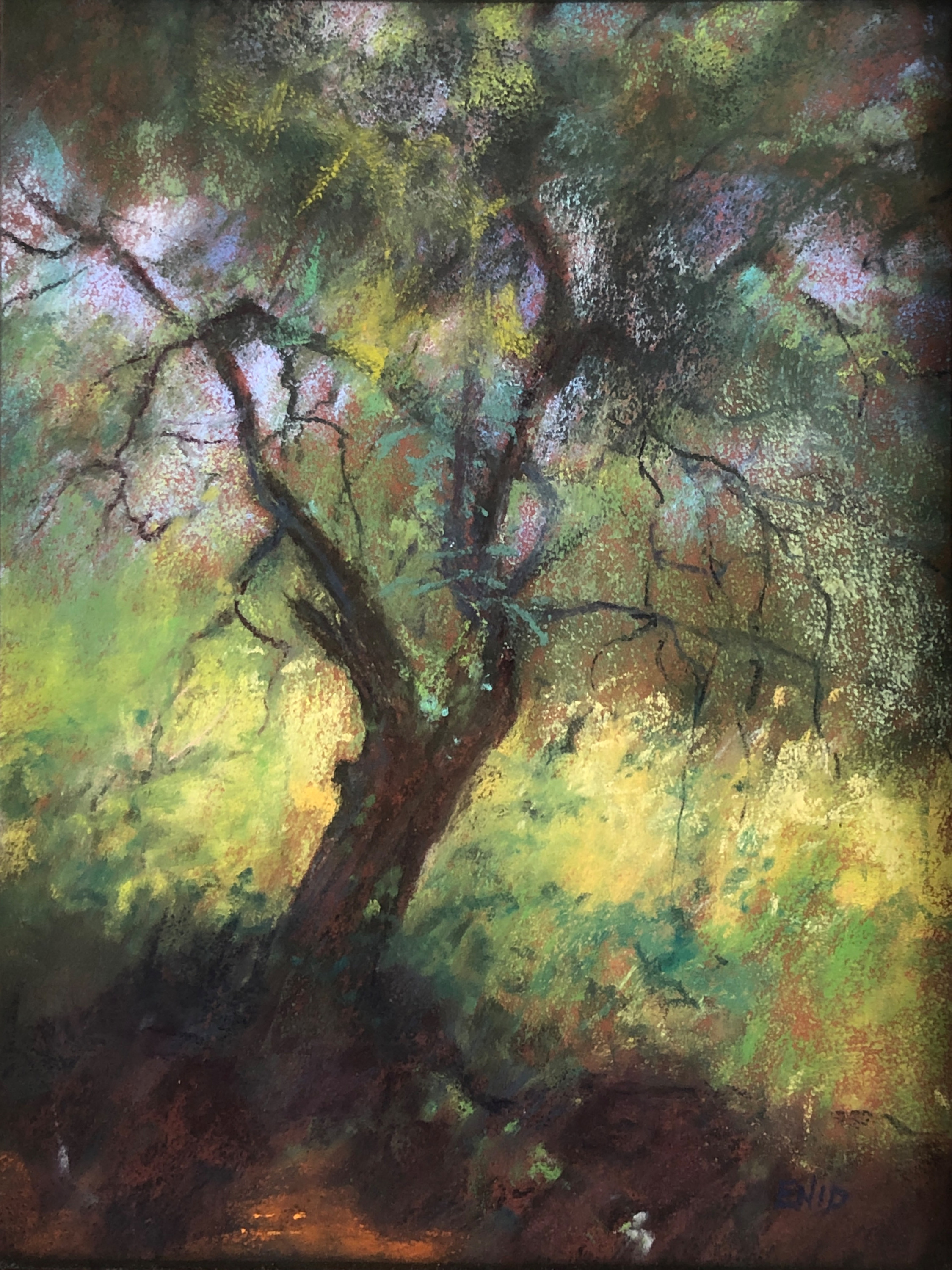 Enid hill   summer tree5 simone maher douvme