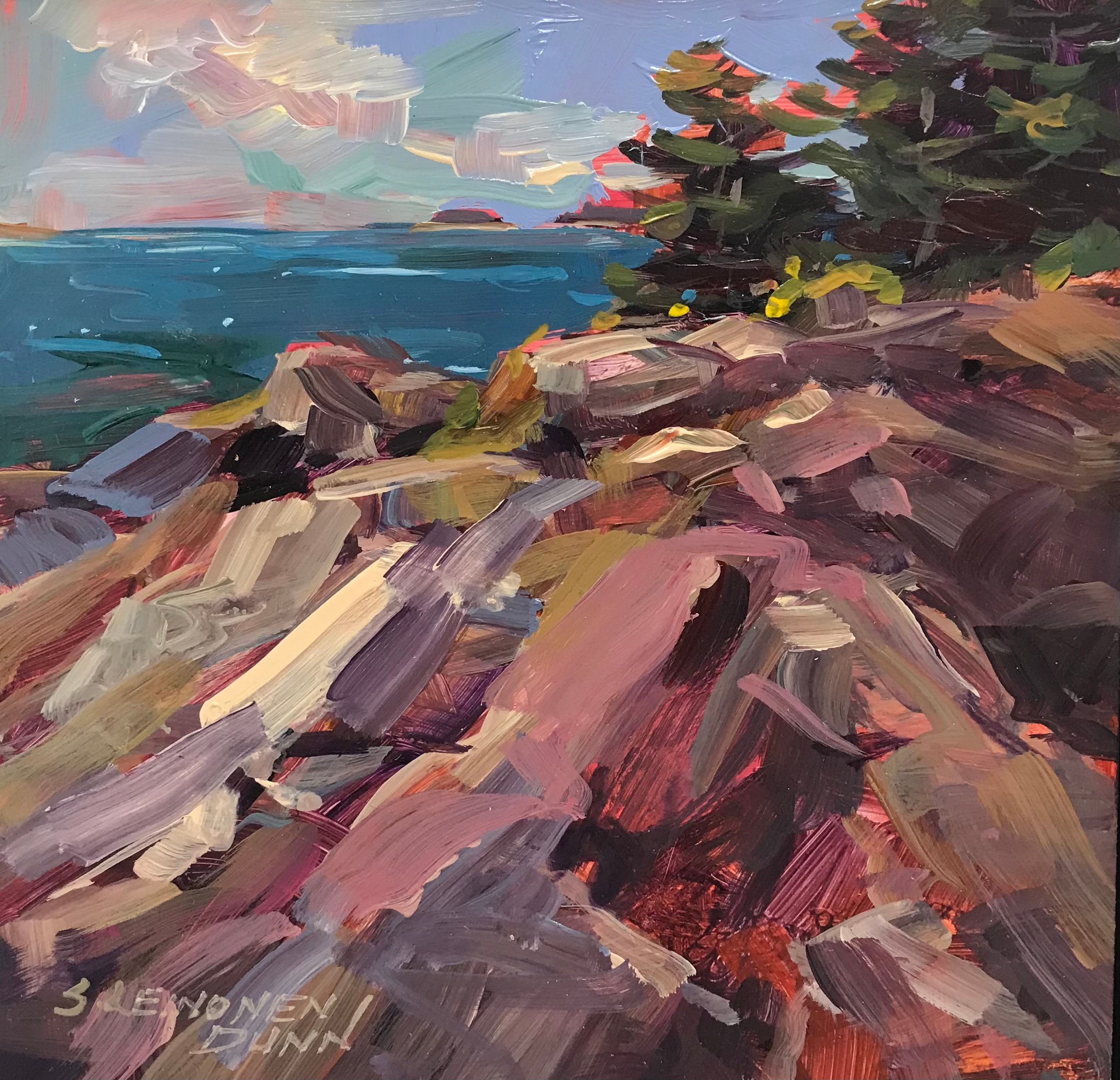 Maine s rocky coast dgoijv