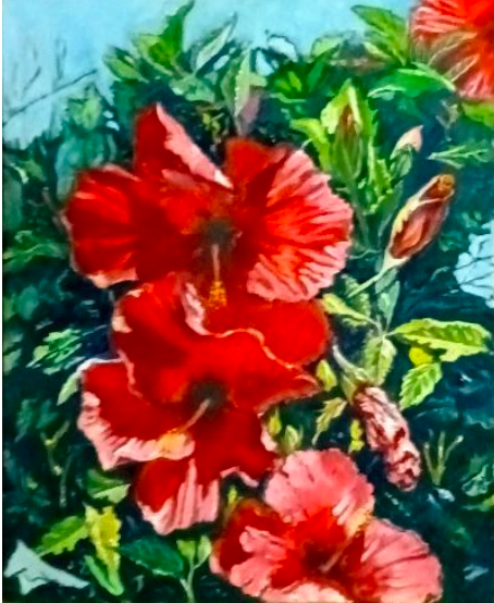 Pretty red hibiscus lmrp2v