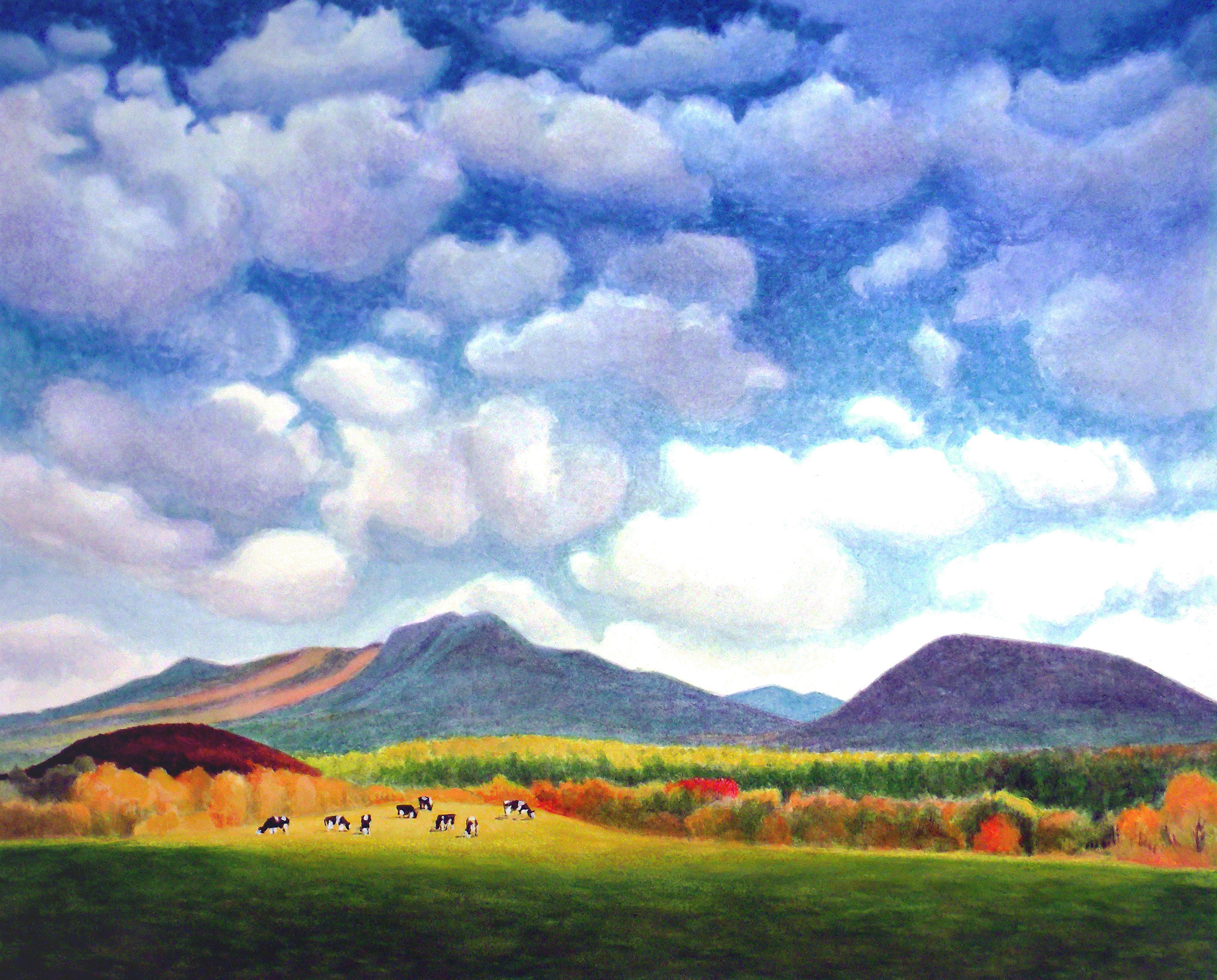 Vermont field with cows 250 zzxh67 bgmkgt