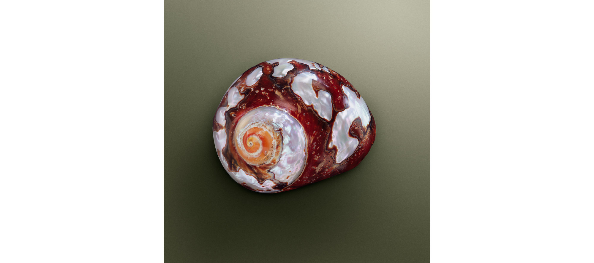 
        <div class='title'>
          shell
        </div>
       