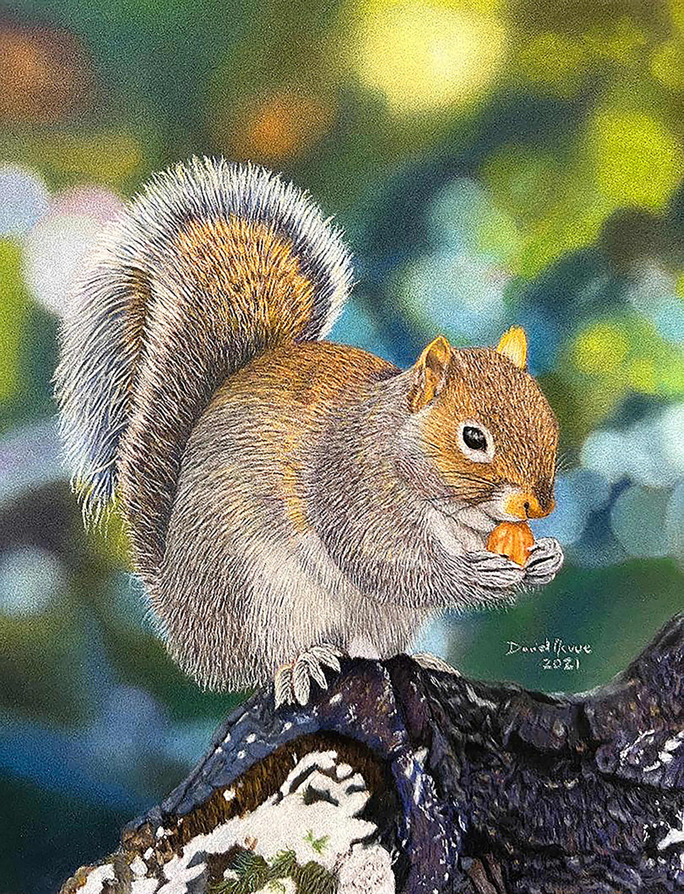 Dave nevue   snack time squirrel  special edition 8 x 10 matted print   60xs xij84o
