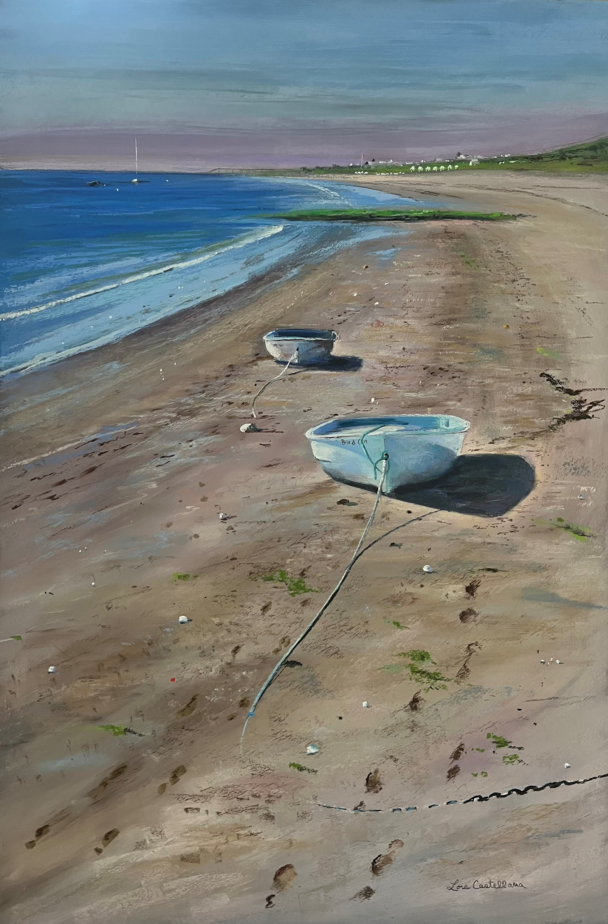 On shoreline   lois i5alcg