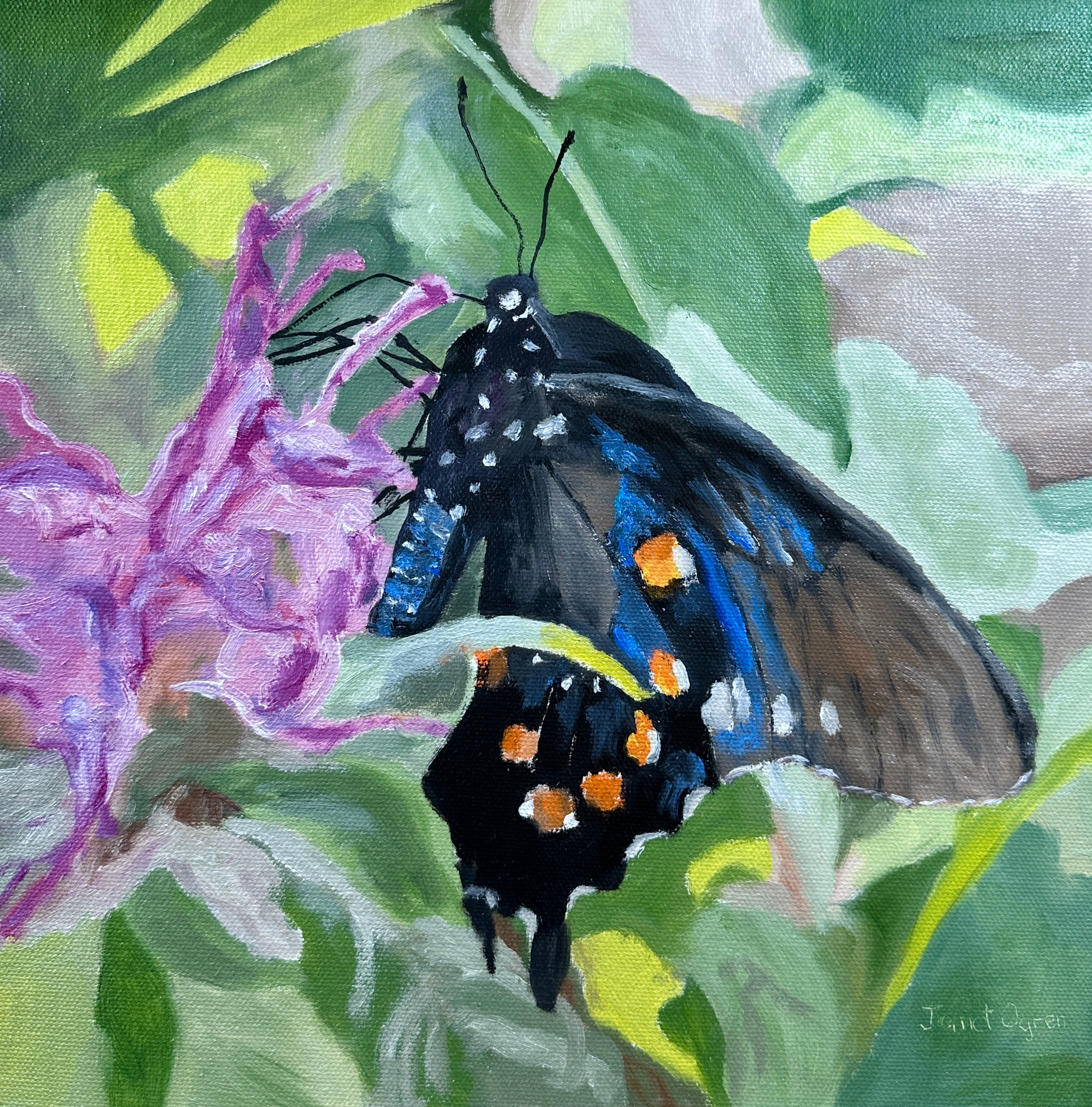 Swallowtail painting azfw0o