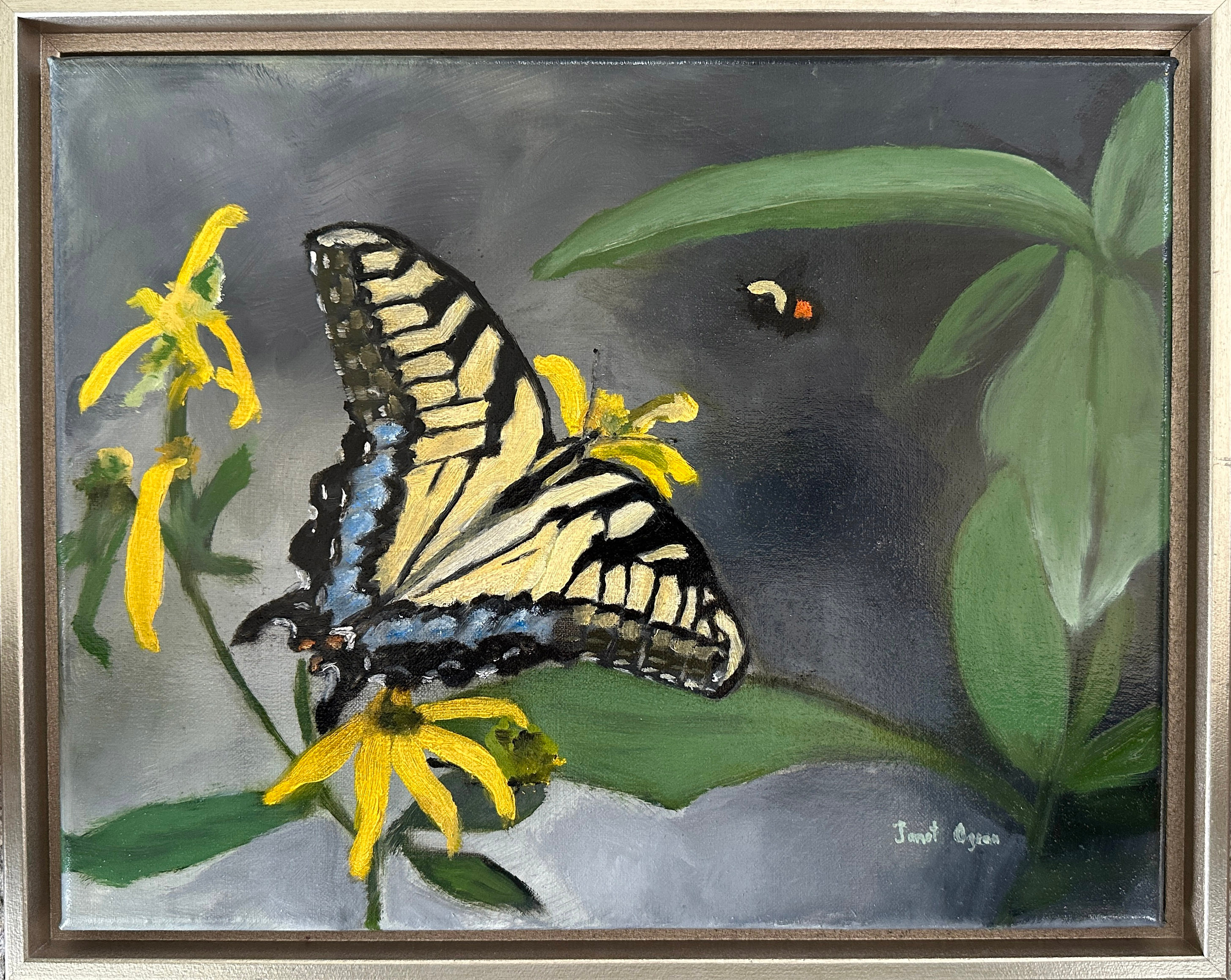 Ogren butterflyandthebee 340 4a x71qtl