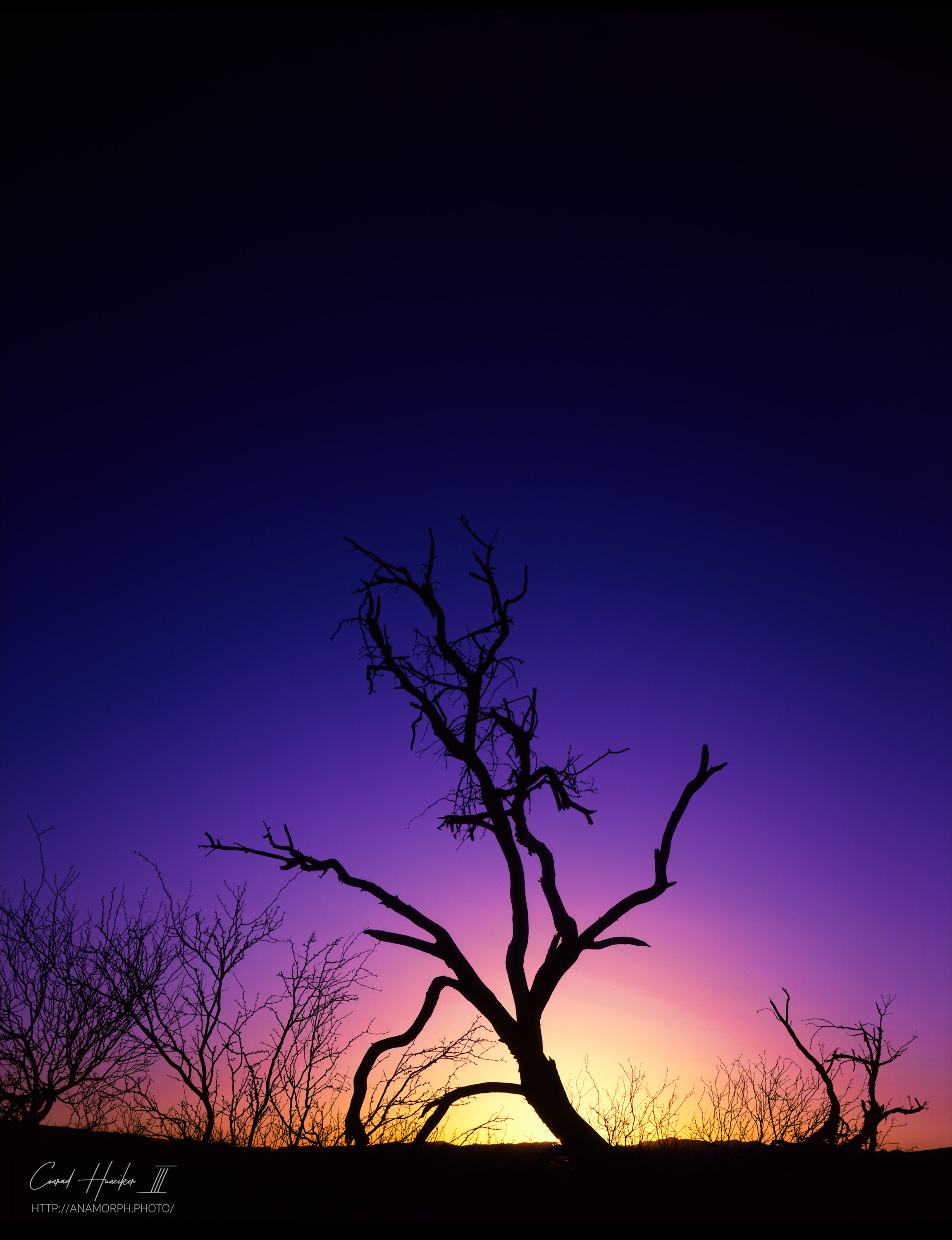 Mesquitemorning2 4096 srk51d