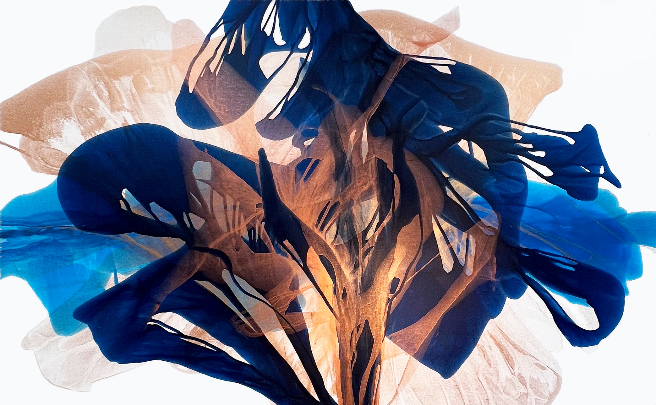 Flames of the setting sun 46x74 wlmsgm