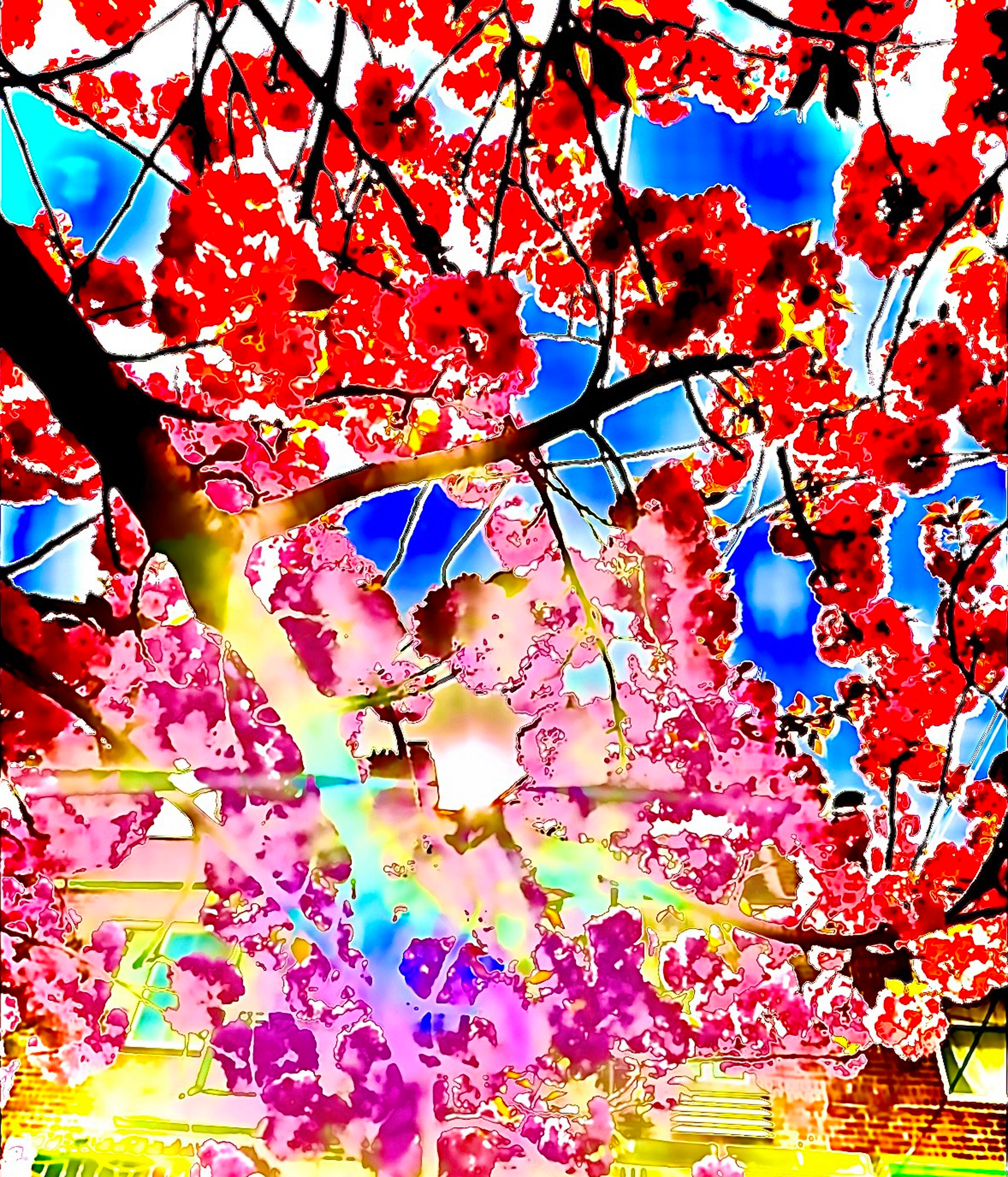 
        <div class='title'>
          IMG 4512 v1easg
        </div>
       
        <div class='description'>
          
        </div>
      