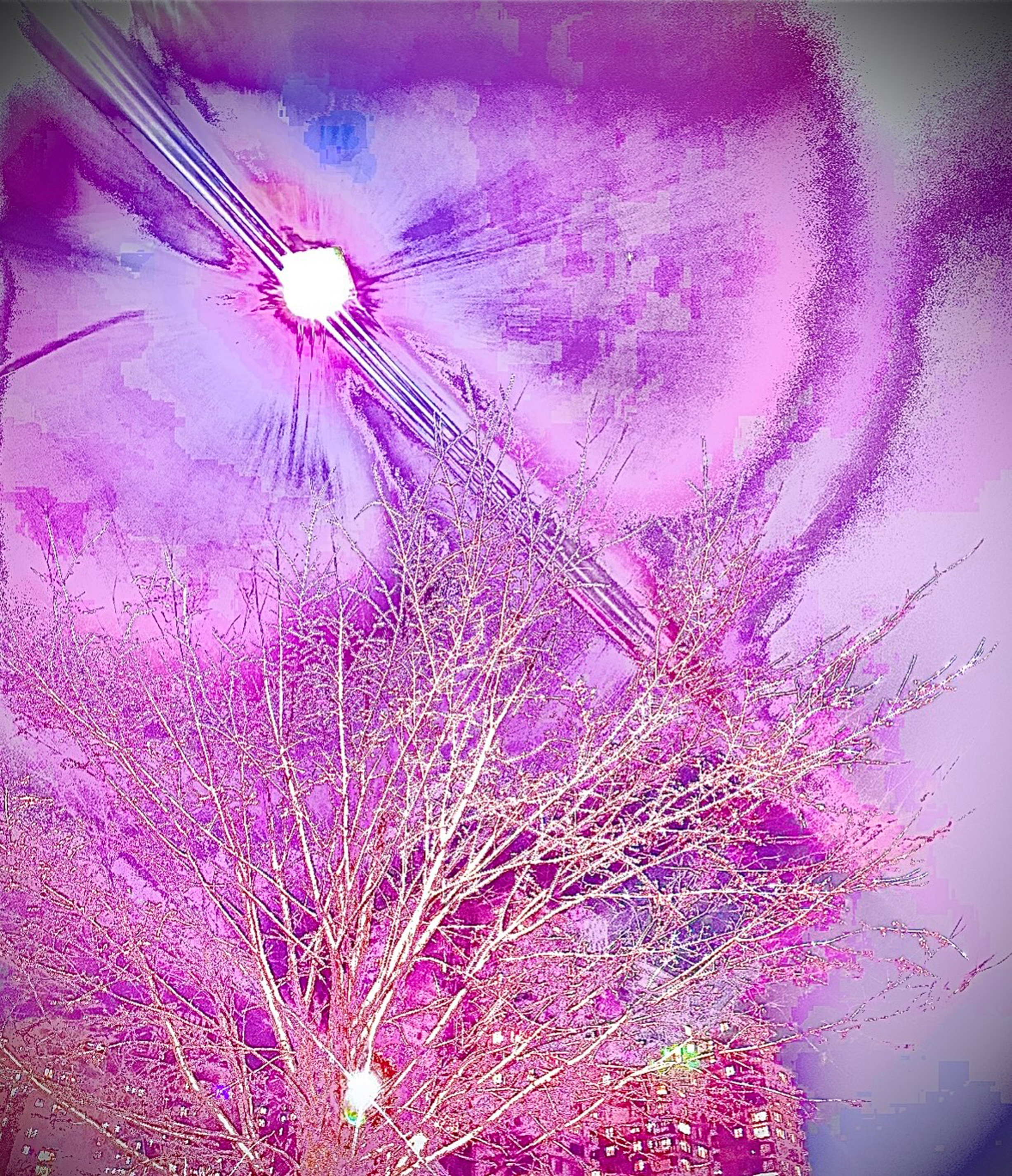 
        <div class='title'>
          IMG 2442 vrxa7s
        </div>
       
        <div class='description'>
          
        </div>
      