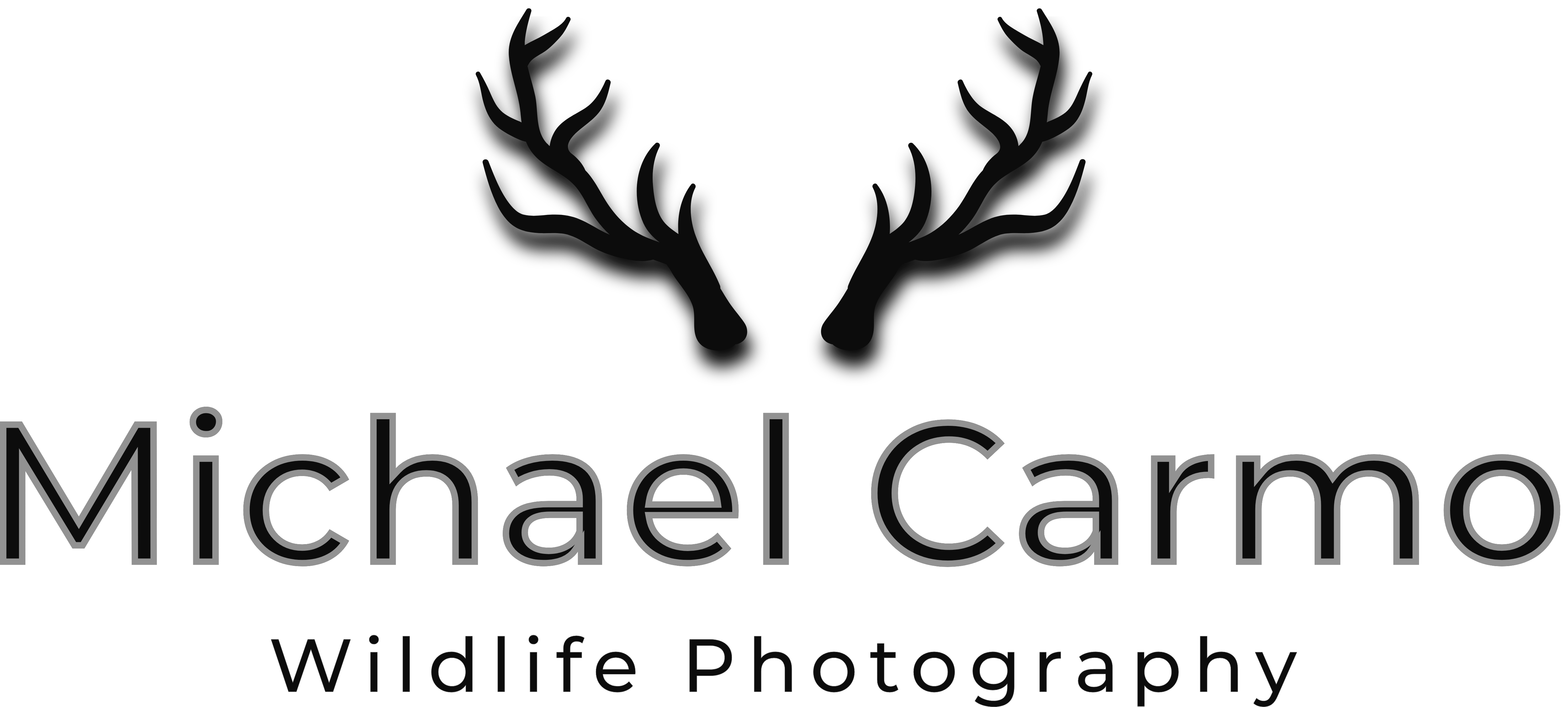 Michael Carmo Wildlife