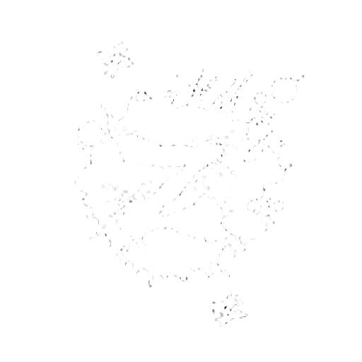 Ziolkowski Originalz