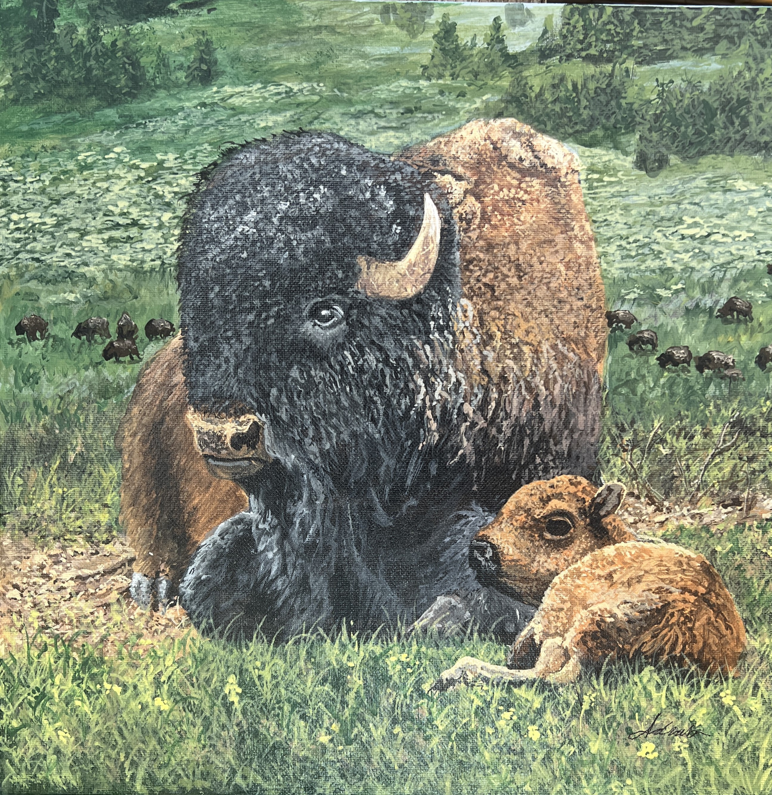 DUAL LEVEL BUFFALO PROUD MAGNET -TWO TONE WOOD