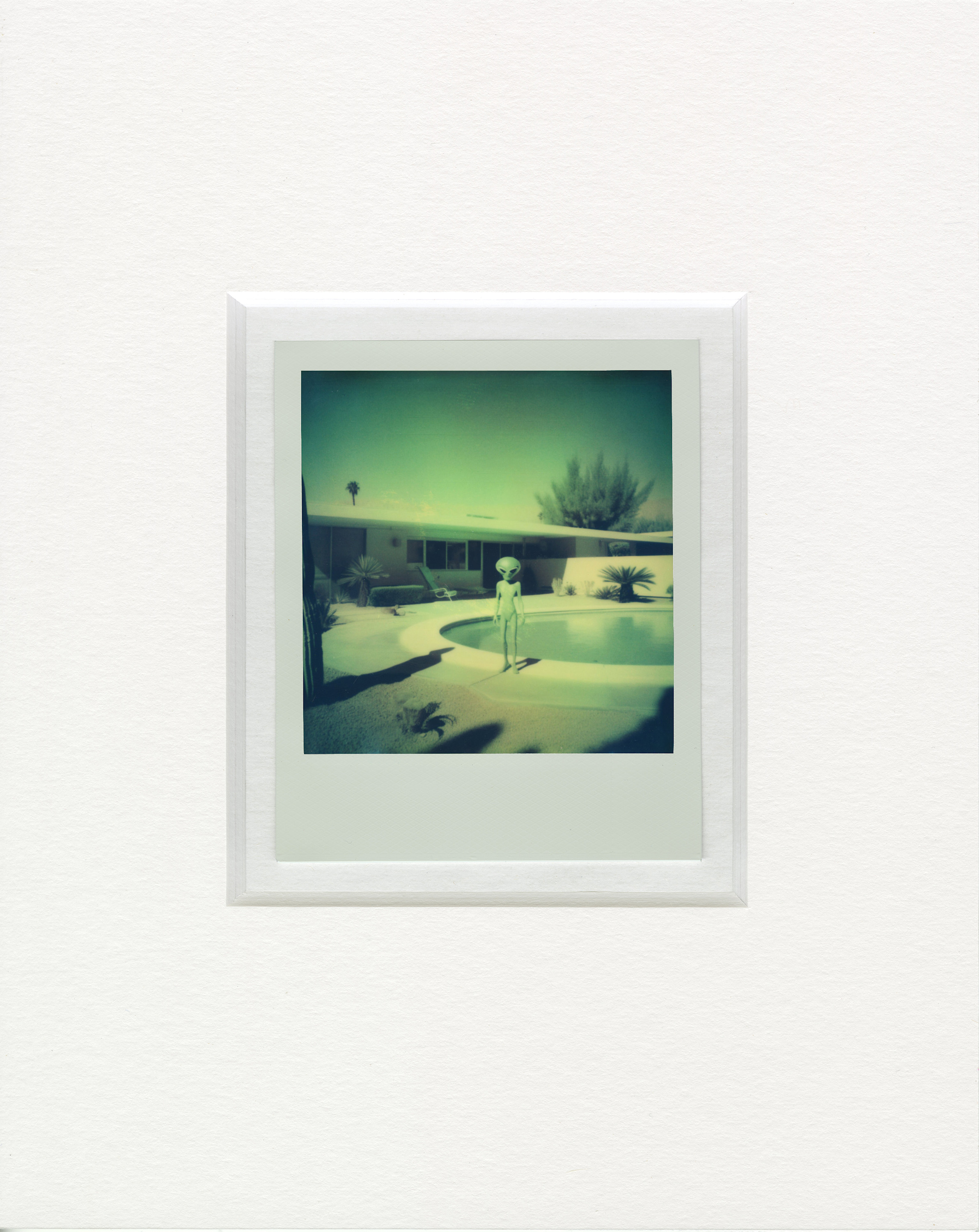 Aliens among us   backyard pool 2 no64l4