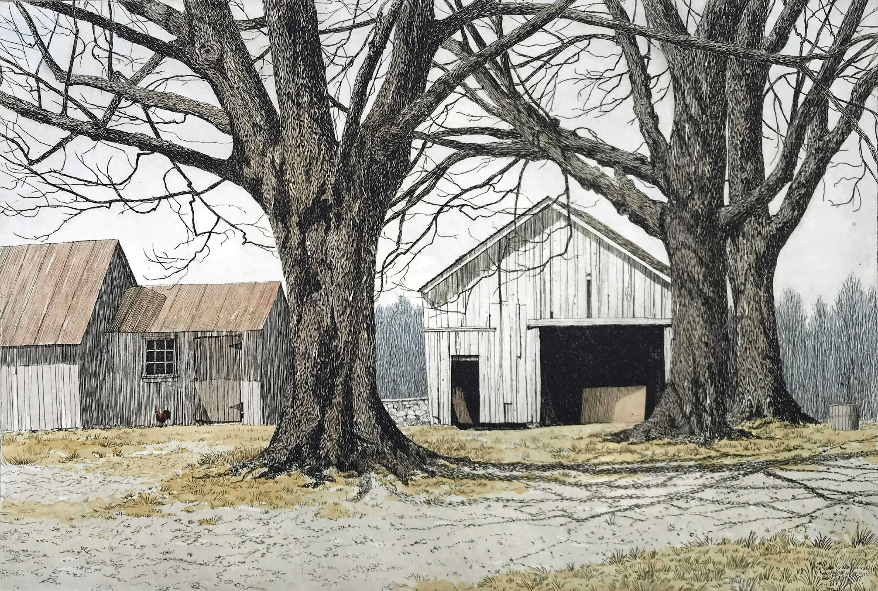 Carol   early spring . carol collette twl3vg