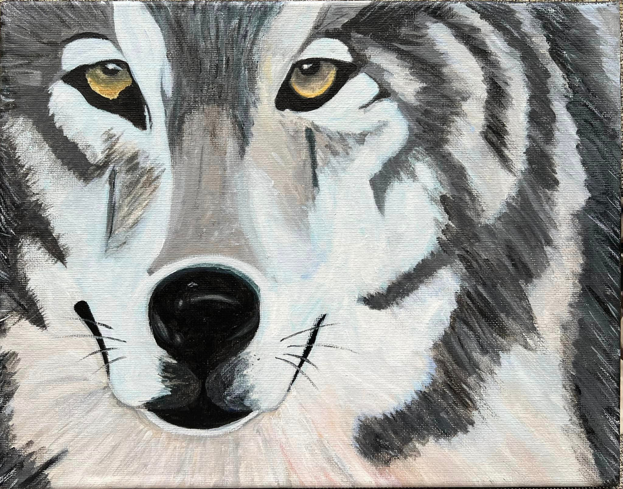 Husky wolf ae 0201 o acrylic canvas ez3tfv