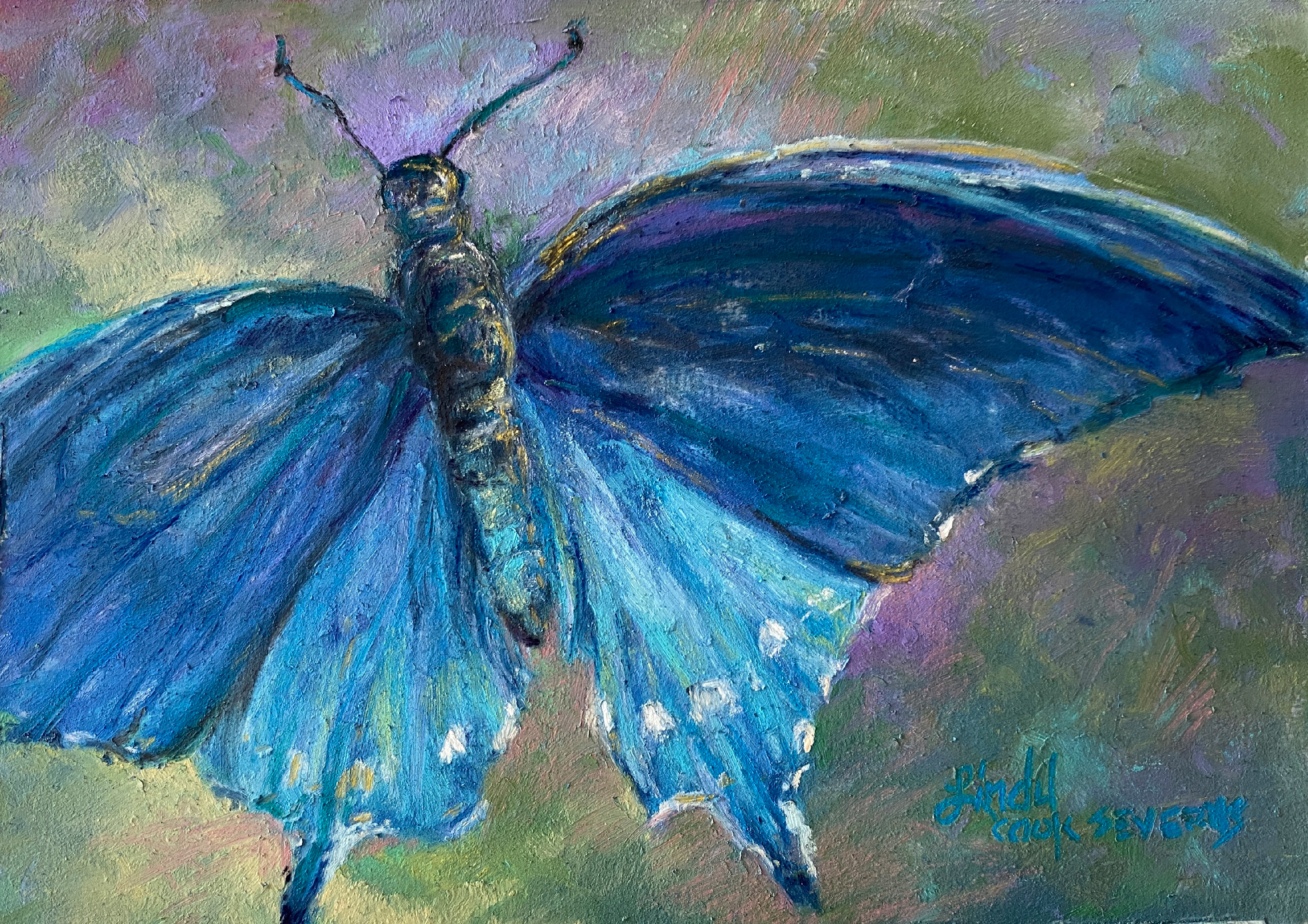 23f23 winging the blues 5x7 pastel lindy c severns bay frniwb