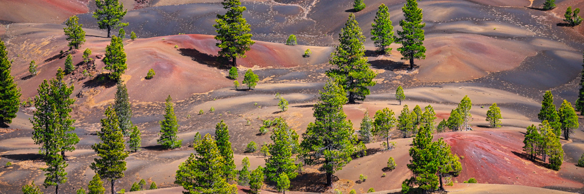 Lassen painted dunes ca 3315b if37qd