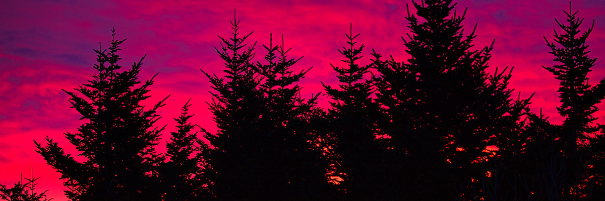 Mount mitchell sunrise nc 6255b vkuhoo