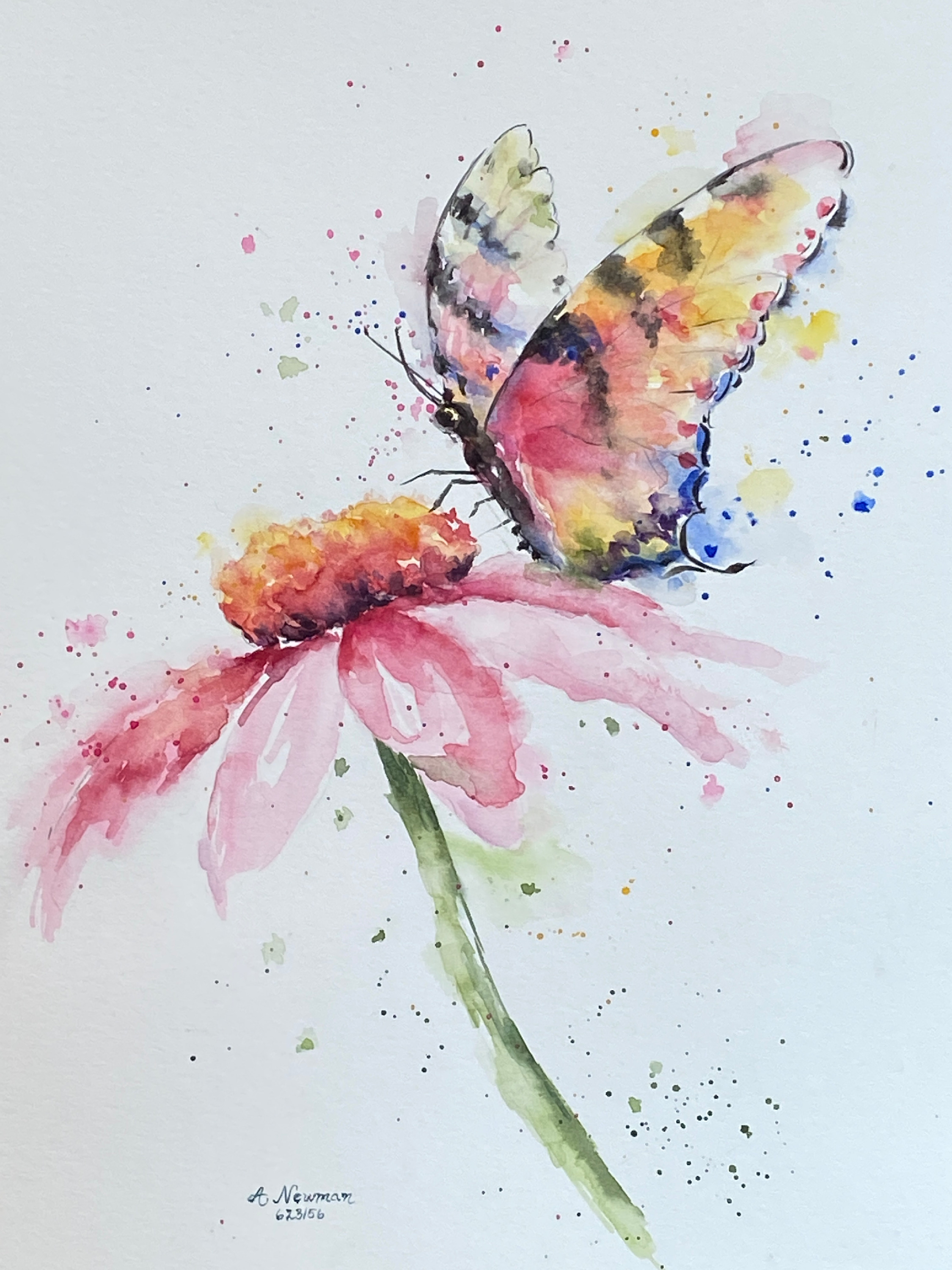 Coneflower and butterfly gypf0l