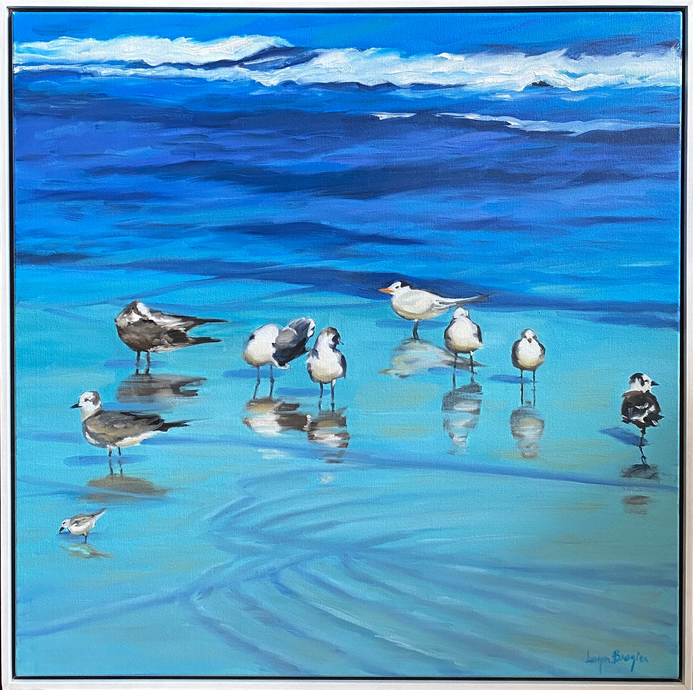 Loryn brazier beach birds 30x30 2022 framed iwmslu