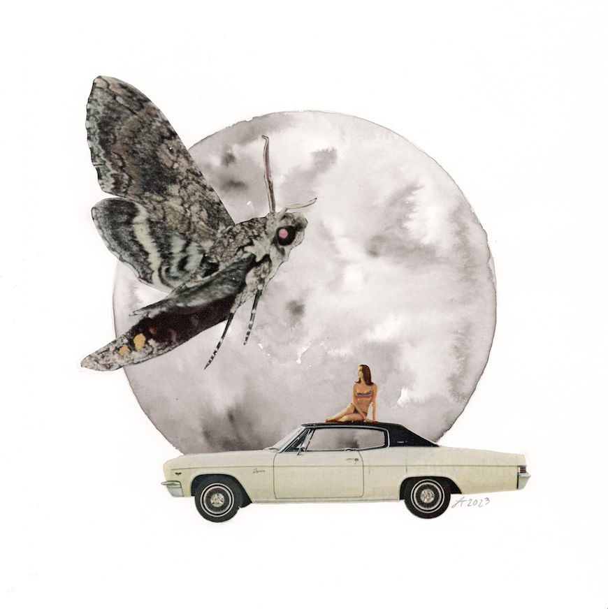 Littleworlds untitled sm moth mkajnu