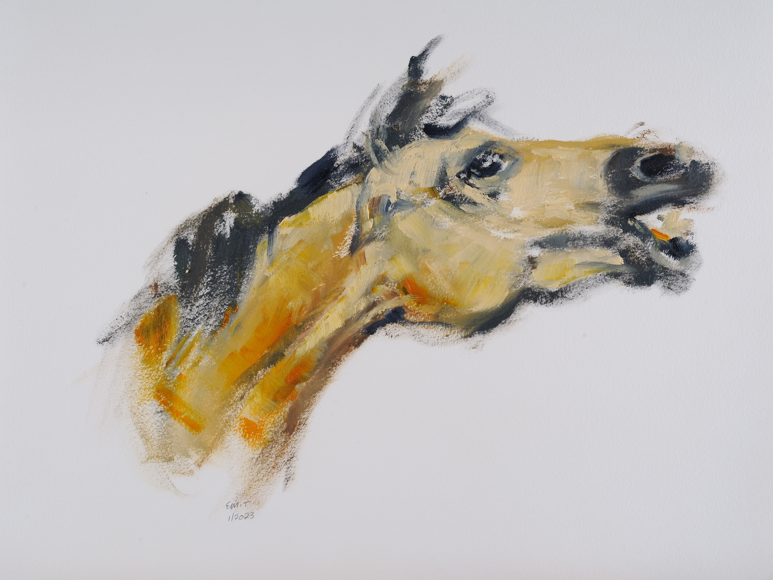 Horse head sketch in oil vzcmwn
