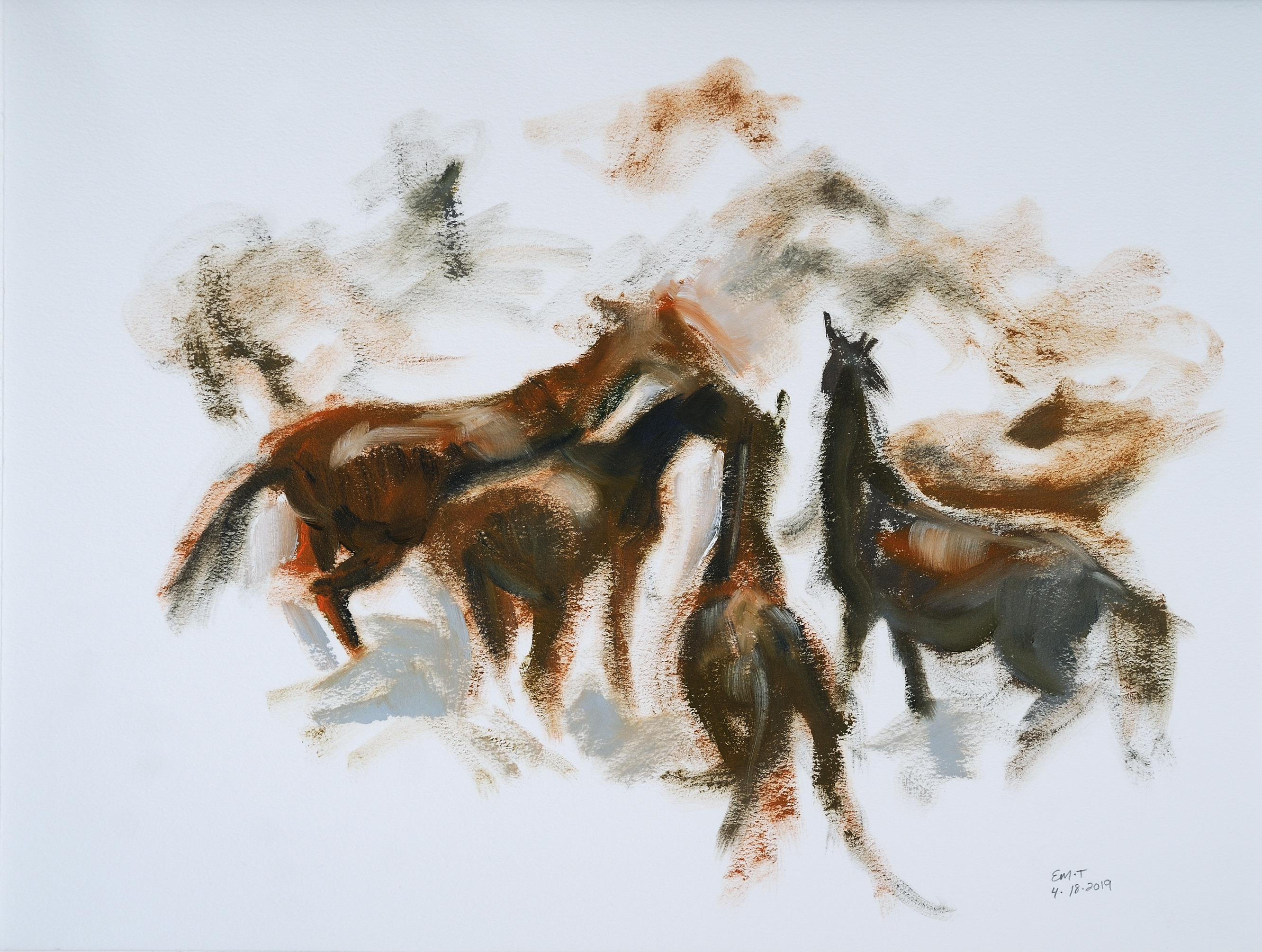 Wild horses in the dust piigqb