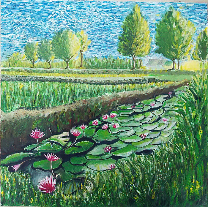 Water lily small rr 8840 o vzfemu