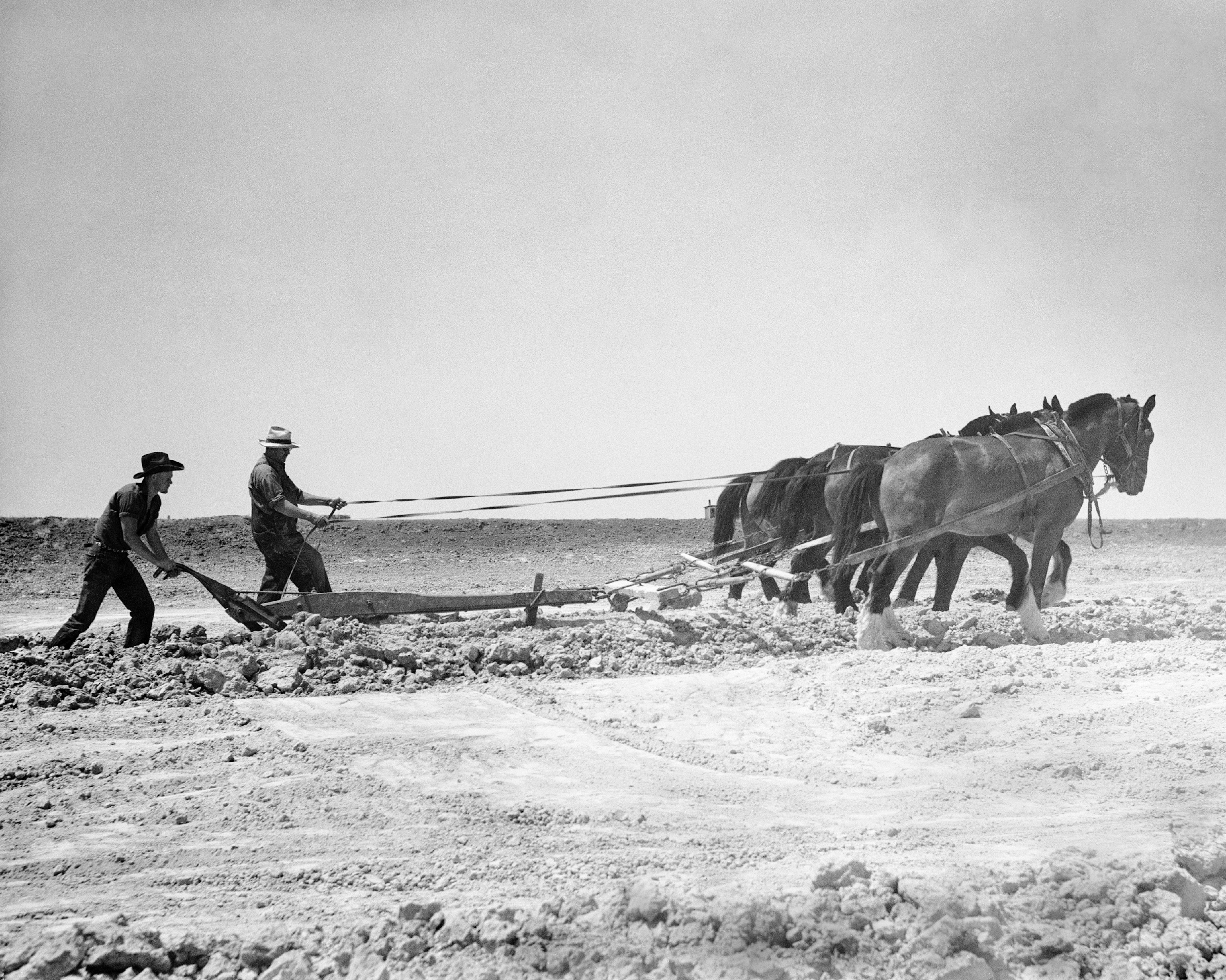 
        <div class='title'>
          Construction On A Stock Water Dam
        </div>
       
        <div class='description'>
          
        </div>
      
