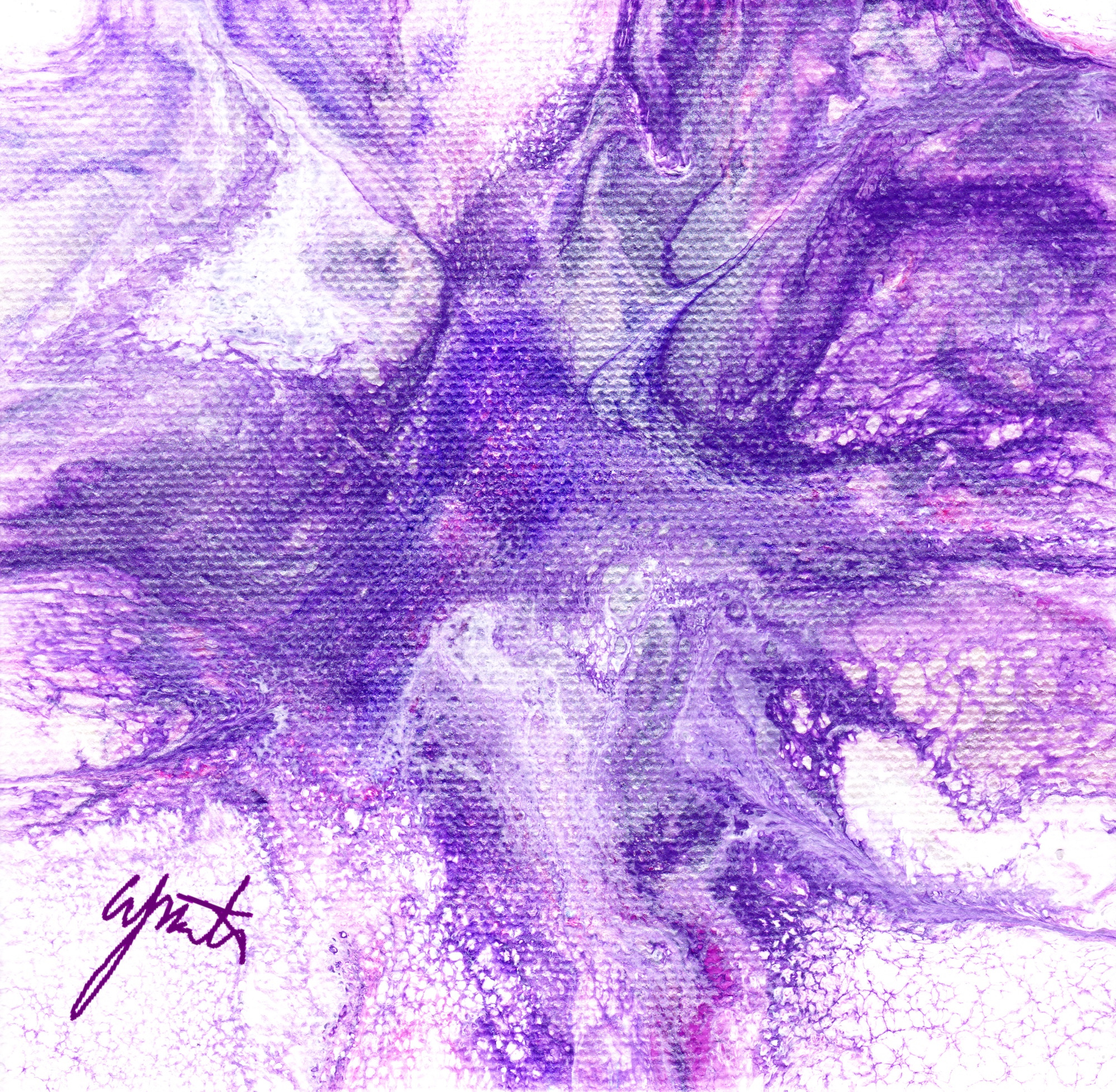 Light amethyst sm bf4u9e