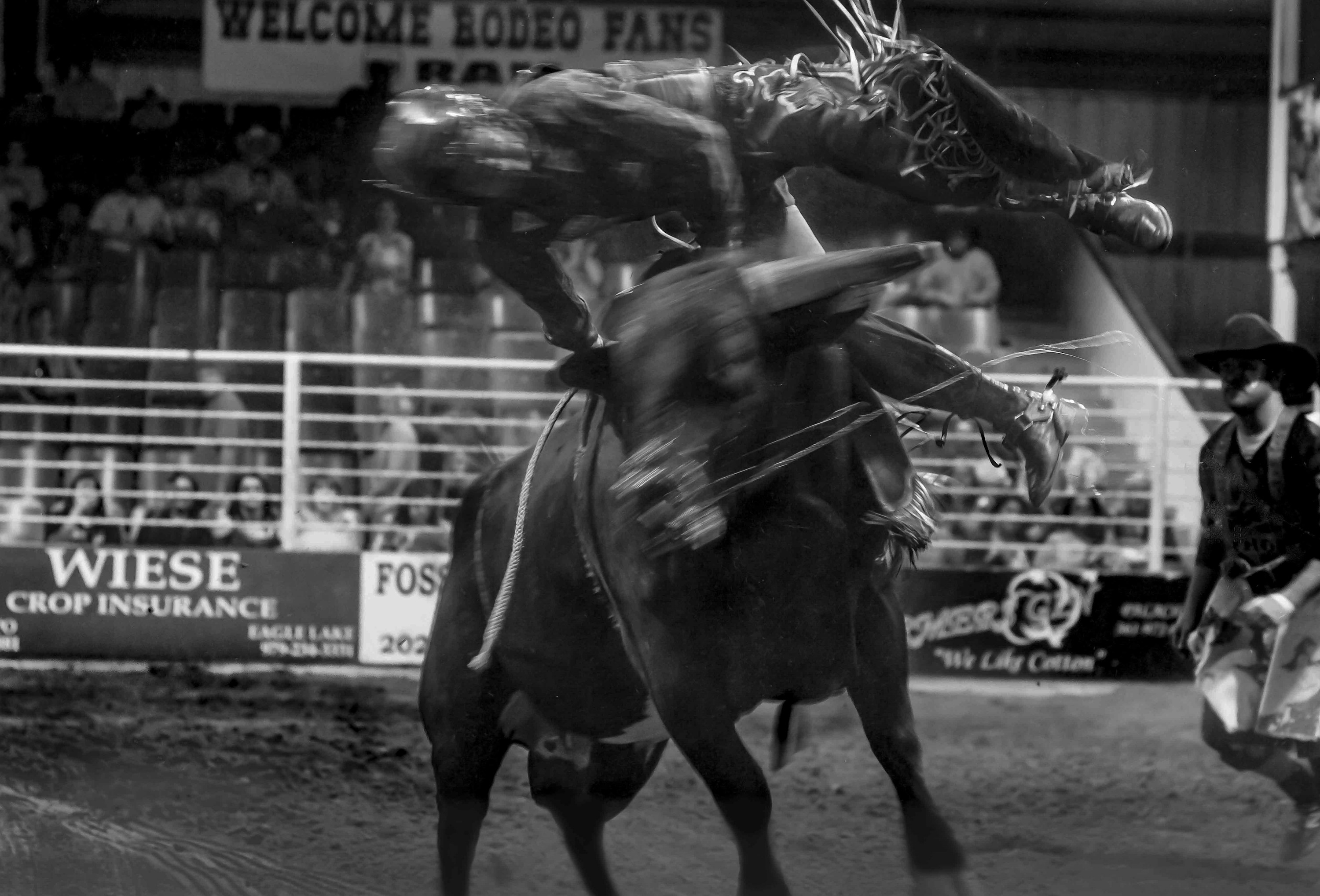 Bullrider 9.22.2023 no border matagprda county rodeo baycity texas jimstorm 6072 ehglxc