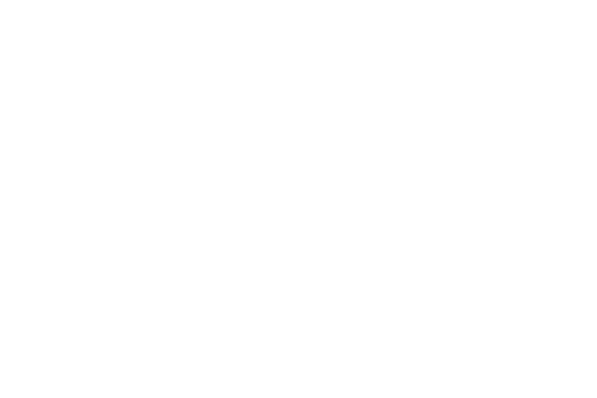 stevewagner