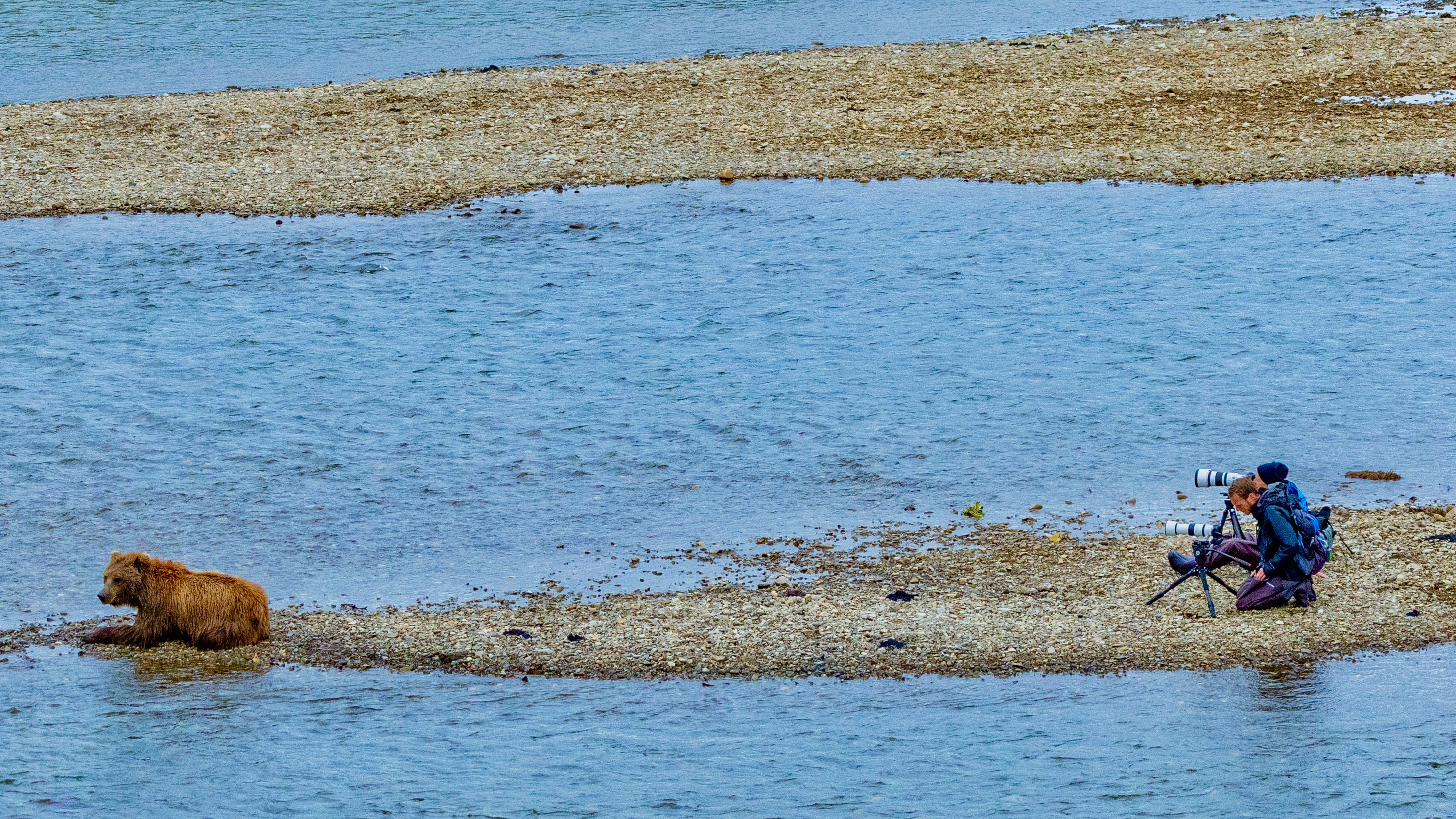 
        <div class='title'>
          Wildlife
        </div>
       