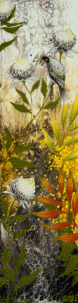1665 wattles gone wild 3 zliywr