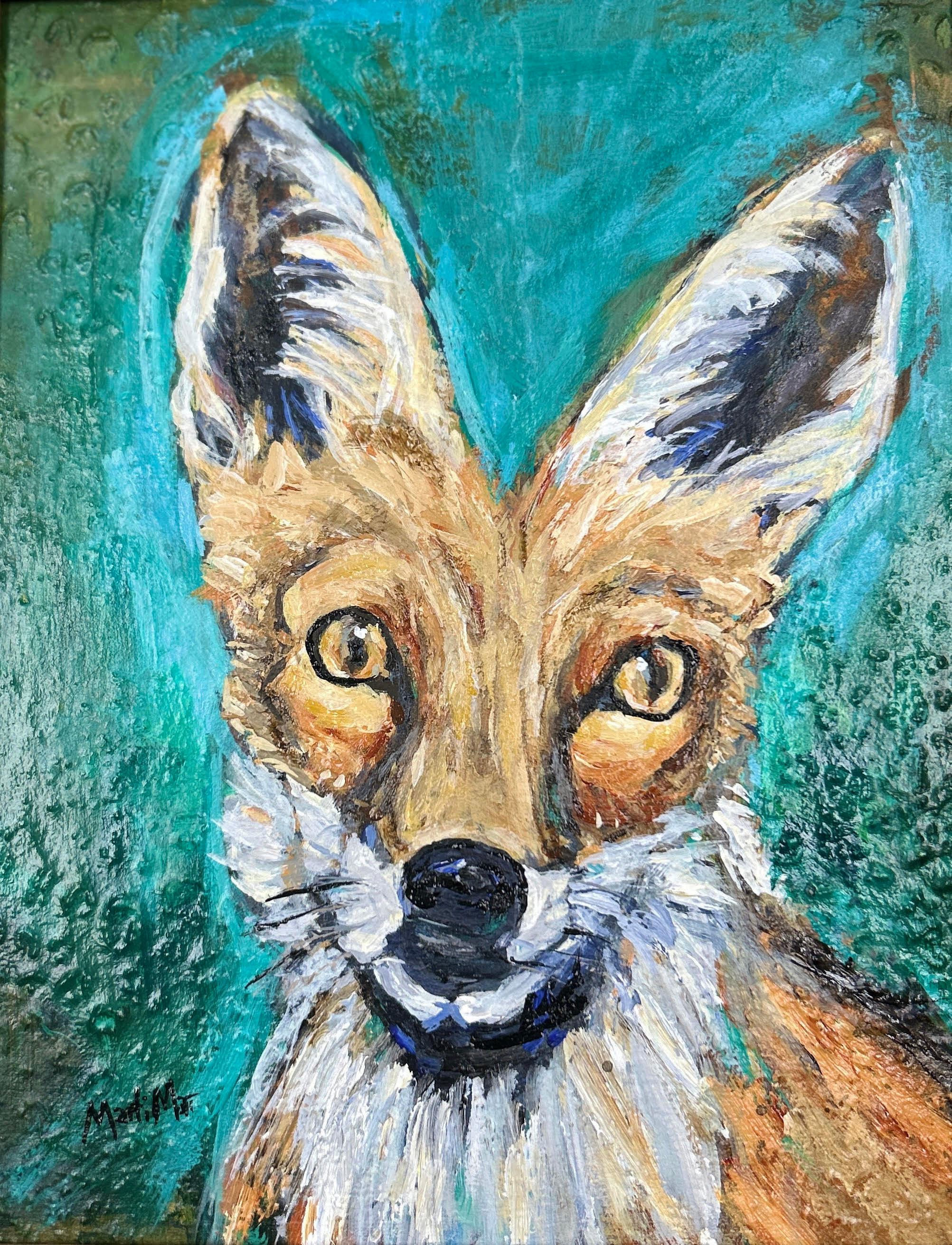 Curious fox rzhchh