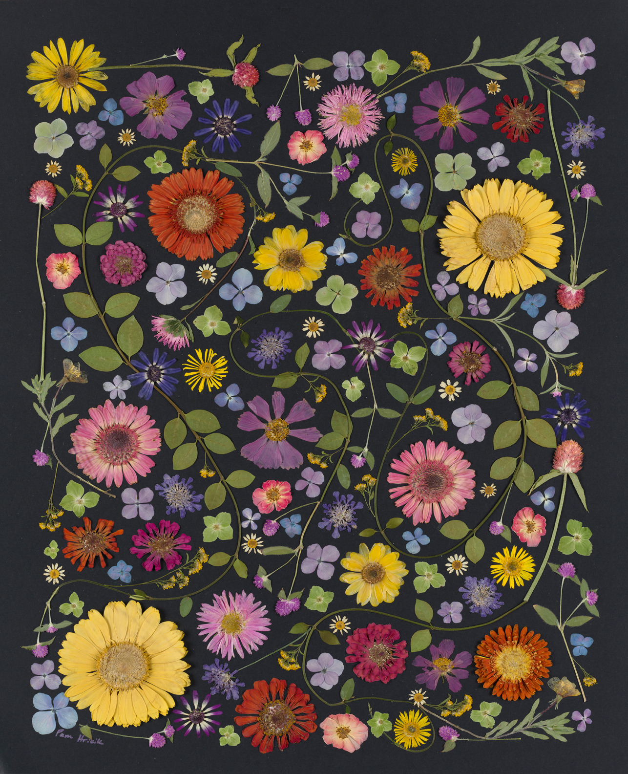 
        <div class='title'>
          Garden Explosion photo
        </div>
       
        <div class='description'>
          
        </div>
      