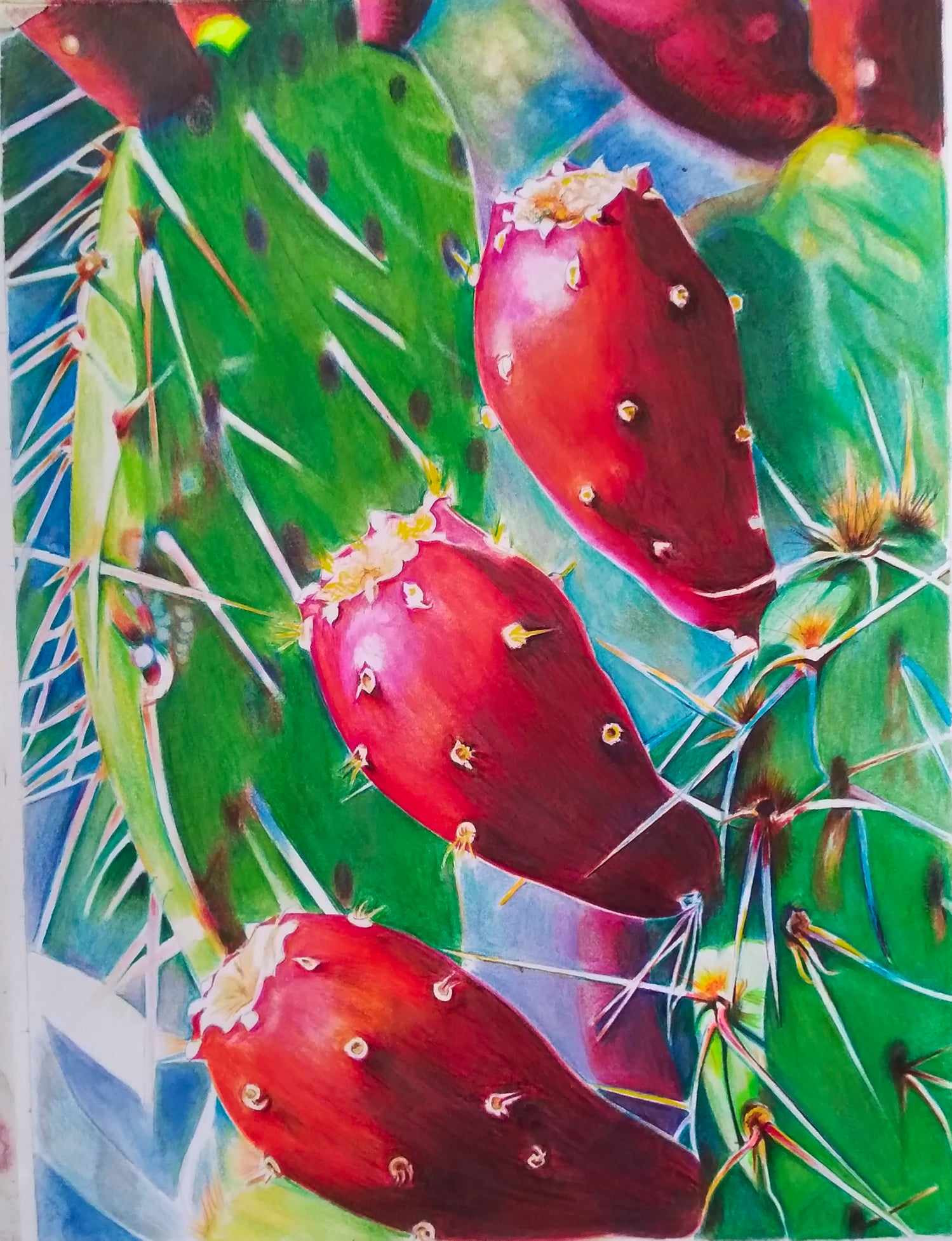 Three red cactus blossoms rr 3454.o sm nm5eta