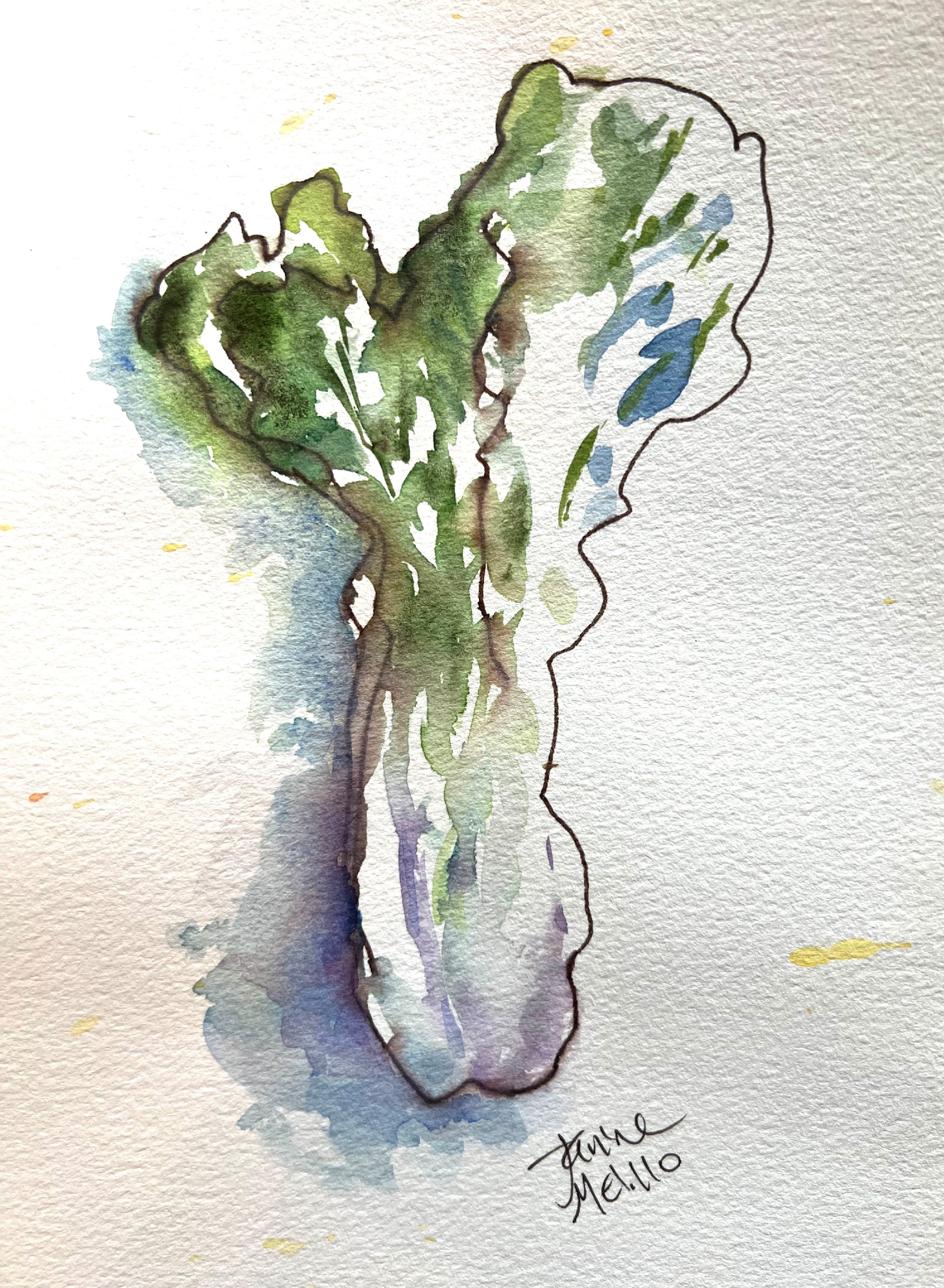 Garden bok choy tixnbl rtlegp