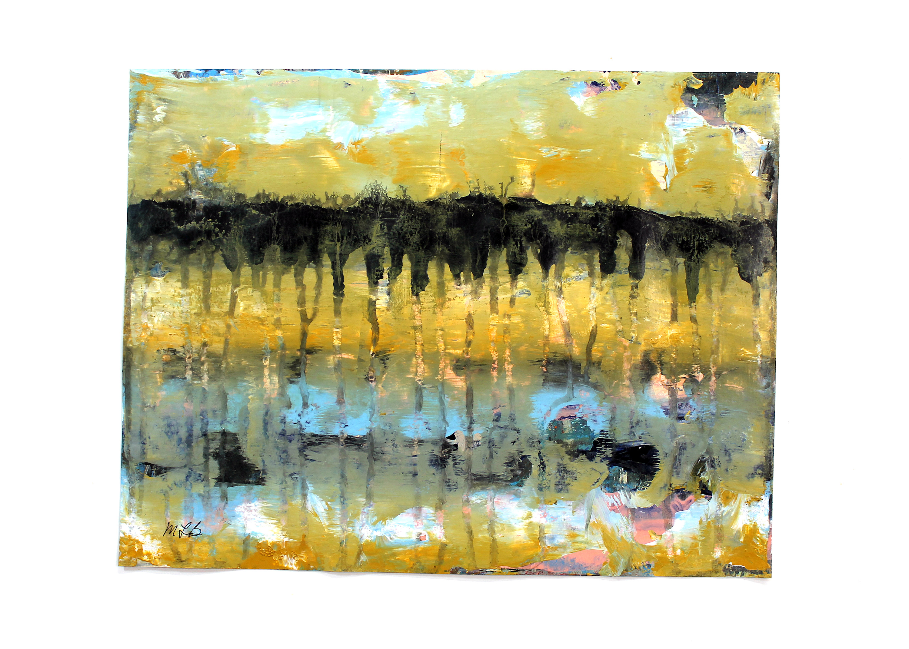 2043 img 4640 nbfg01