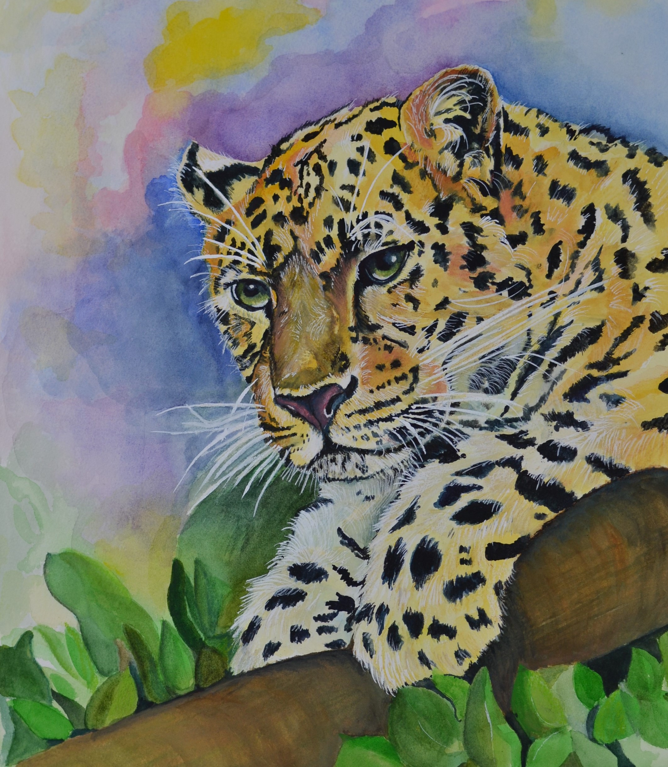 Cheetah 2.0 watercolor 12 x 16 original k6bogc
