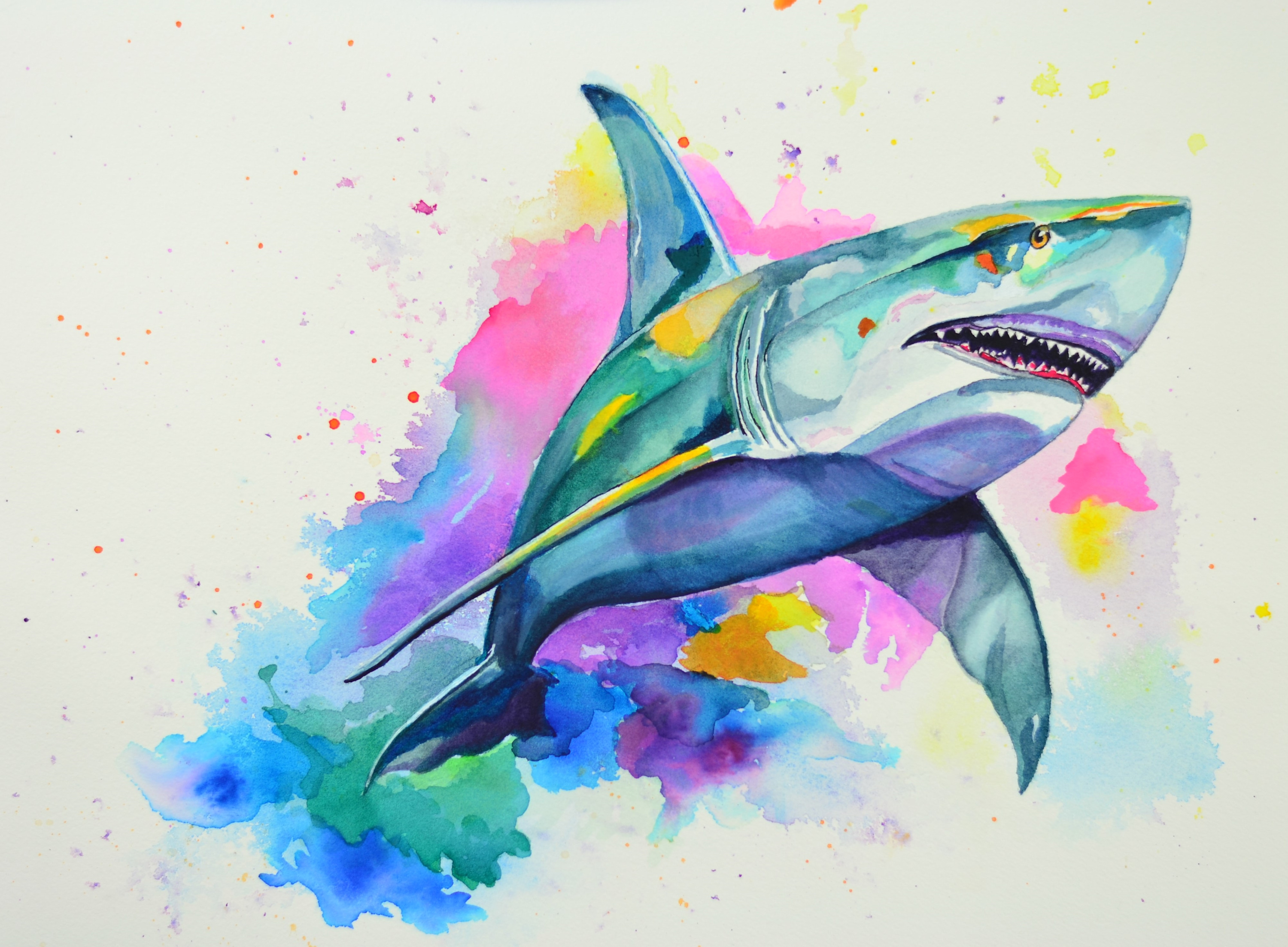 Shark splash watercolor 12 x 16 original ud2kja
