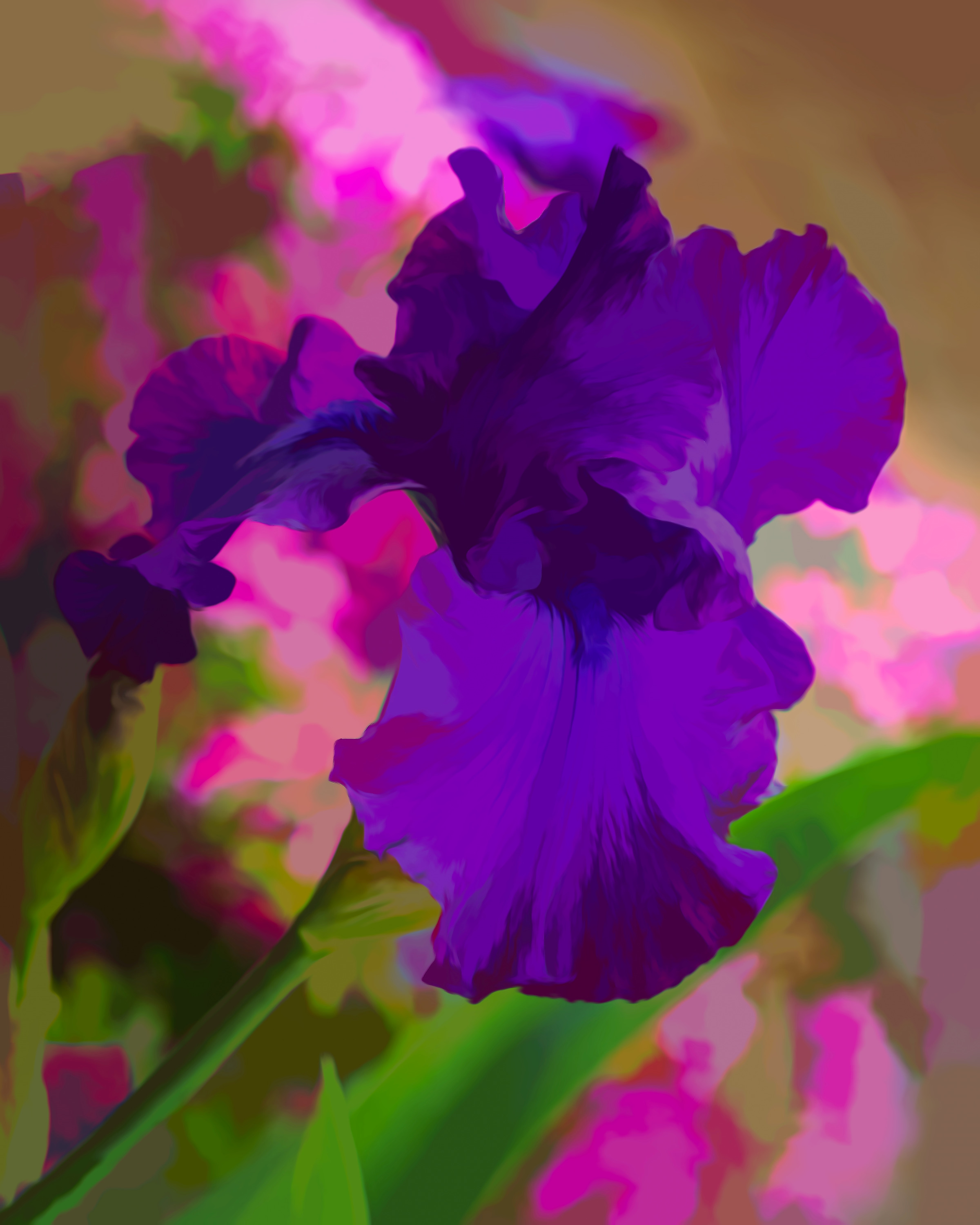 
        <div class='title'>
          Iris Abs for Bill
        </div>
       
        <div class='description'>
          
        </div>
      