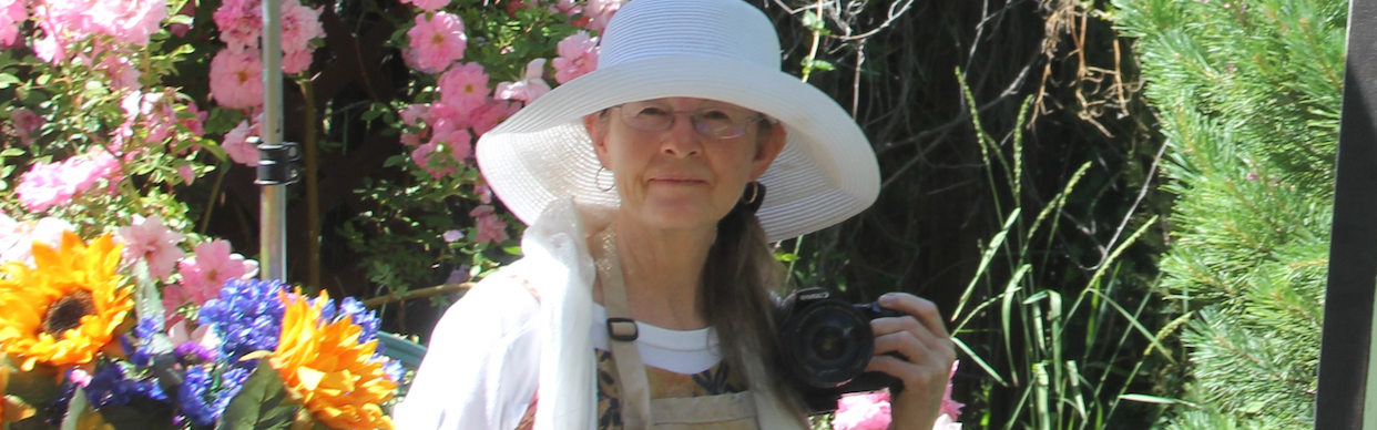 
        <div class='title'>
          Image20231026053310
        </div>
       
