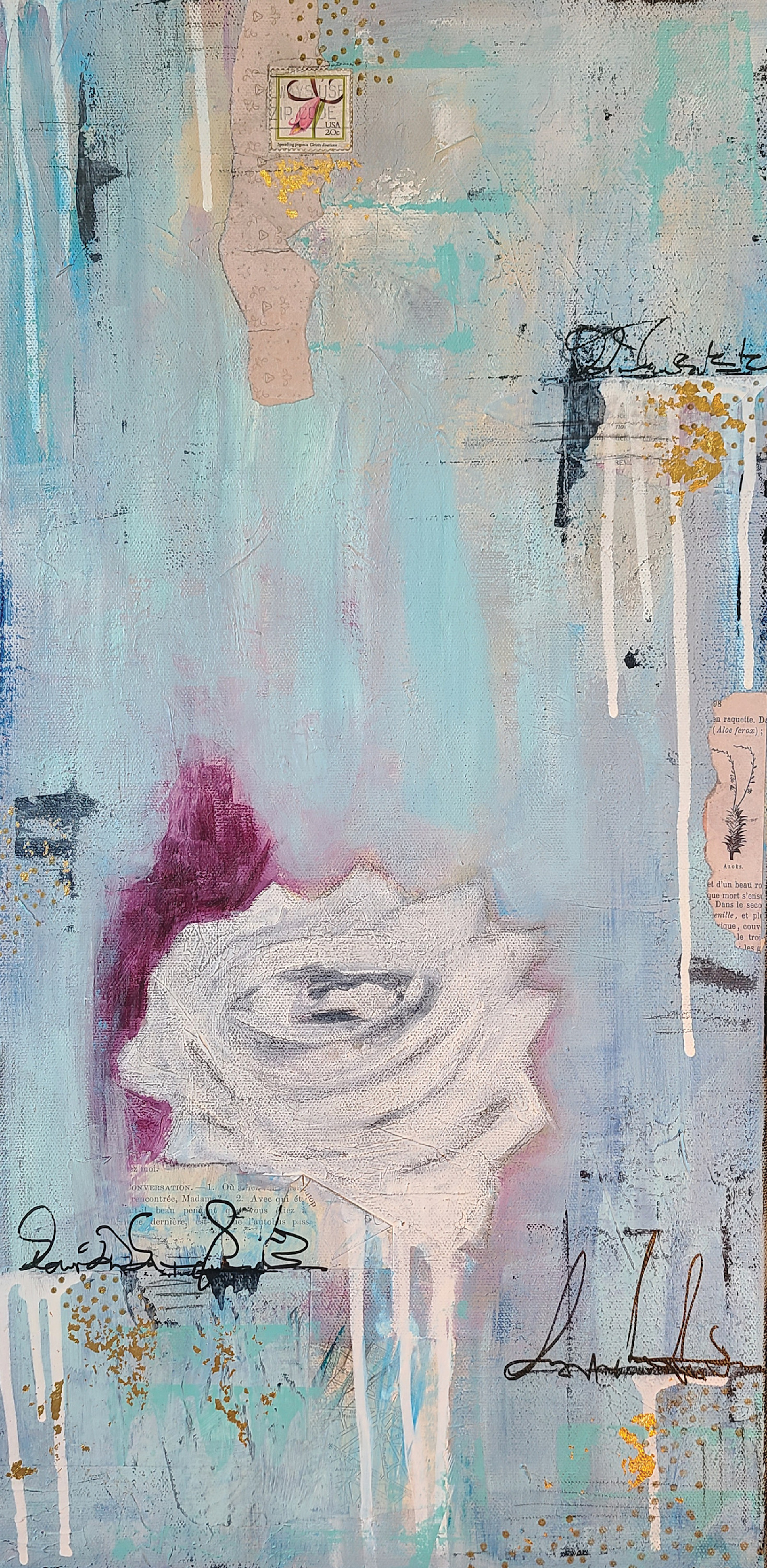 Single white rose zyfjsm