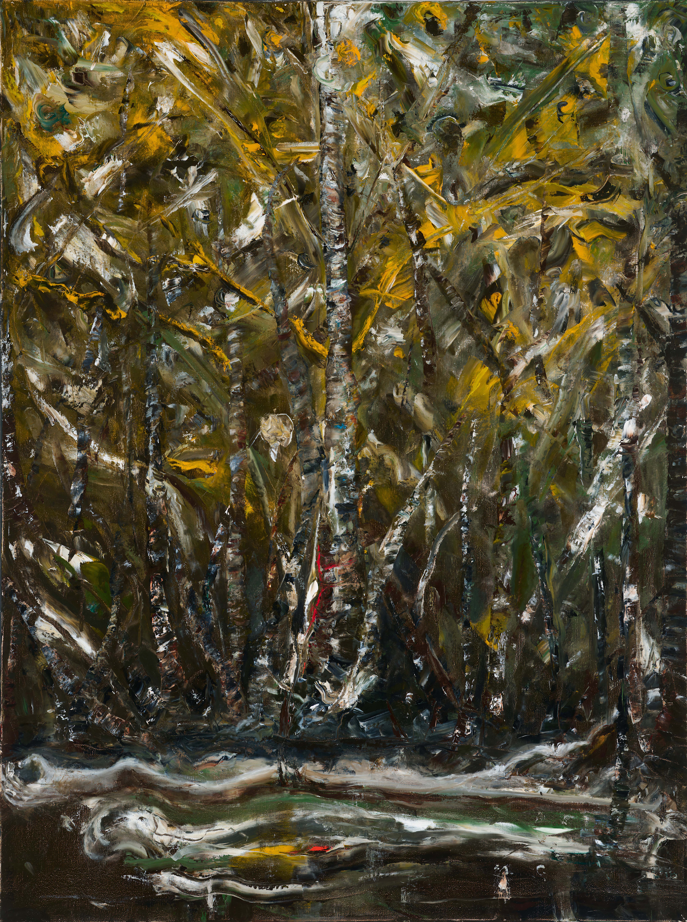 From below 30x40 auto custom original nzy6cp