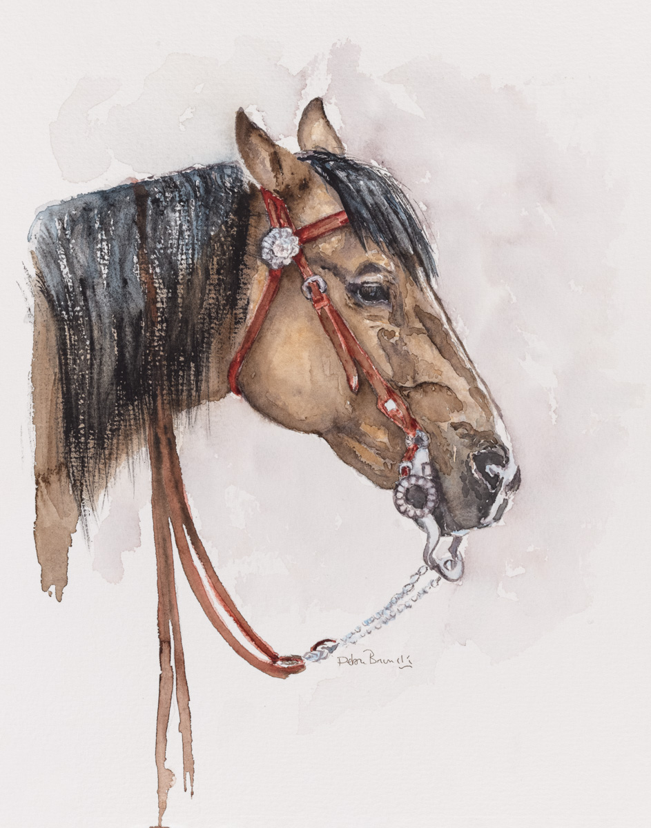 Debra Bruner Studio & Little Cow Mountain Farm