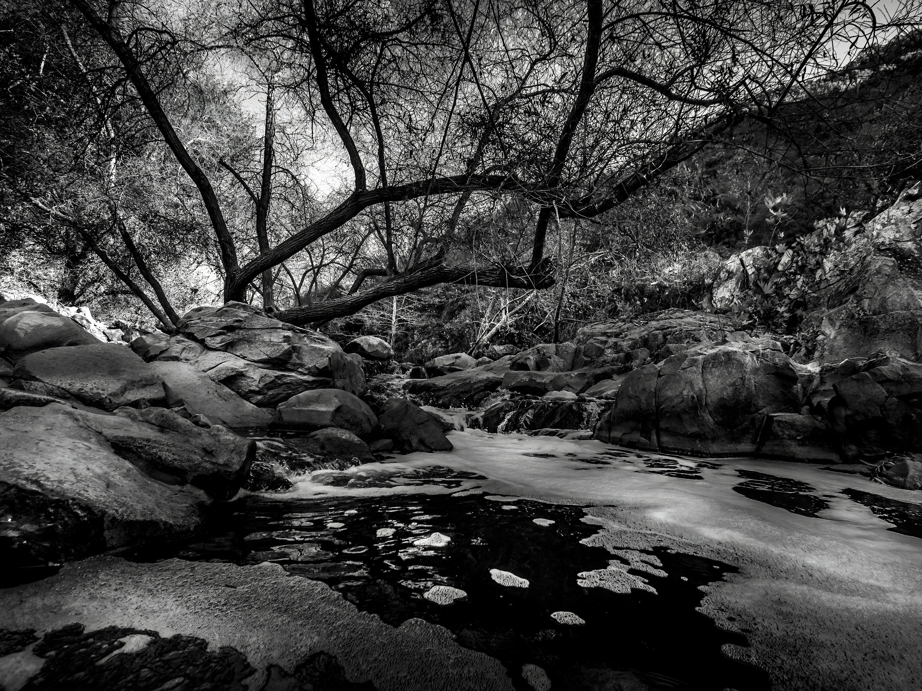 Haunted stream 30x40 1100 wqguhp