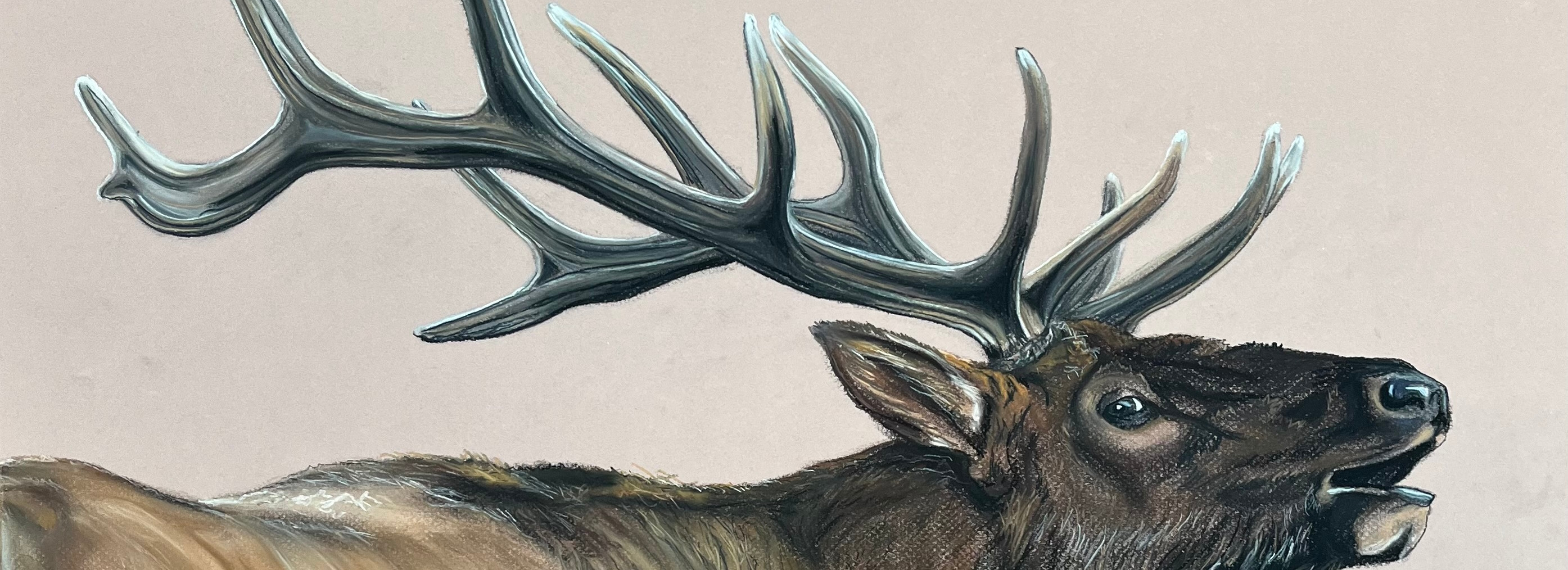 
        <div class='title'>
          Elk lubooc
        </div>
       