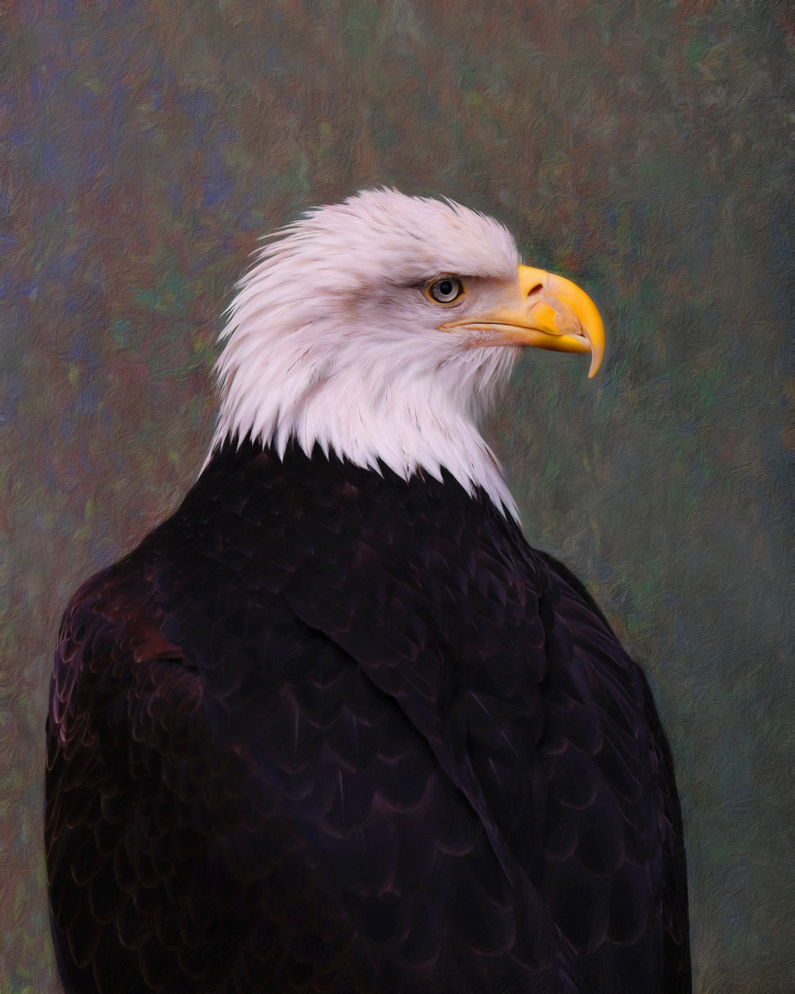 Wrwwalfdpfozj0tc8t98