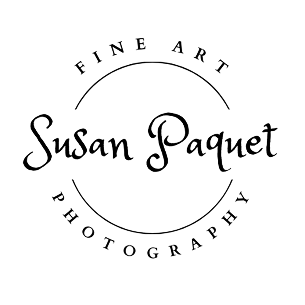 Susan Paquet Fine Art